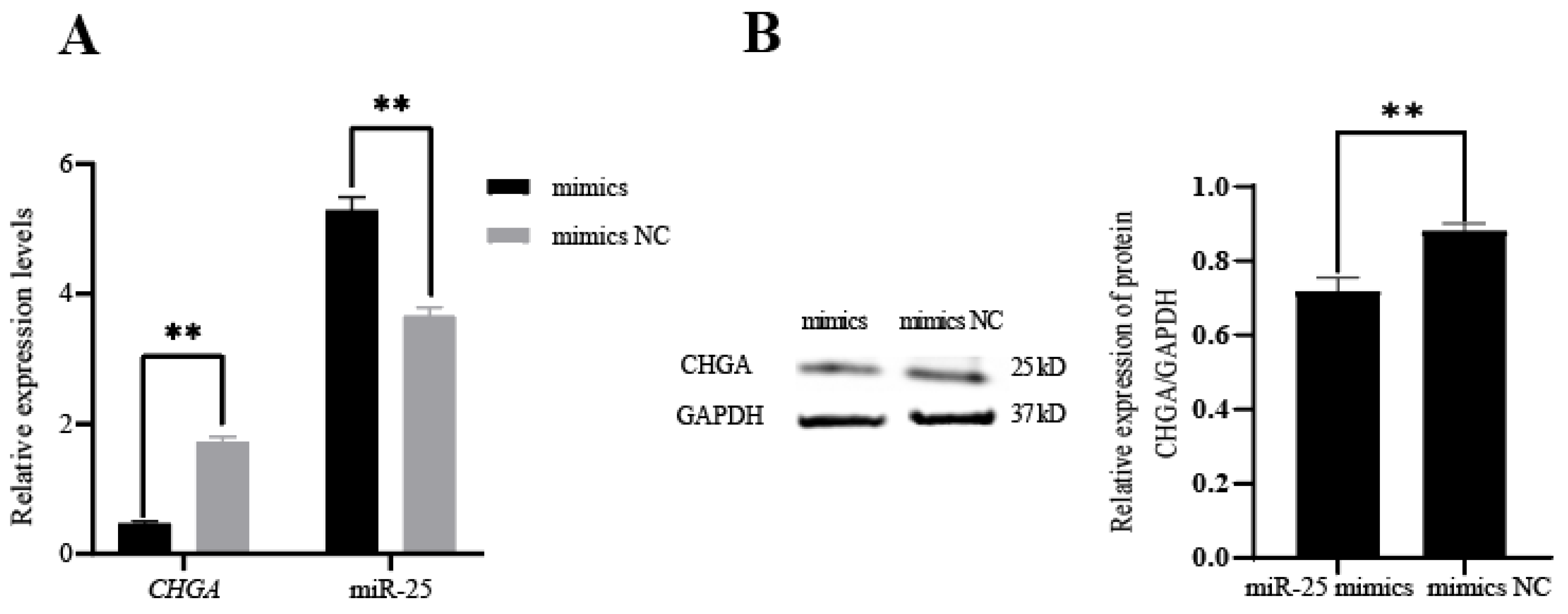 Biology 12 00250 g003 550