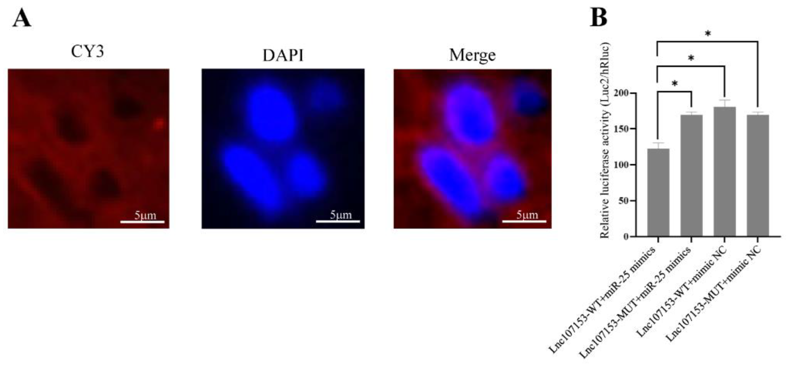 Biology 12 00250 g005 550