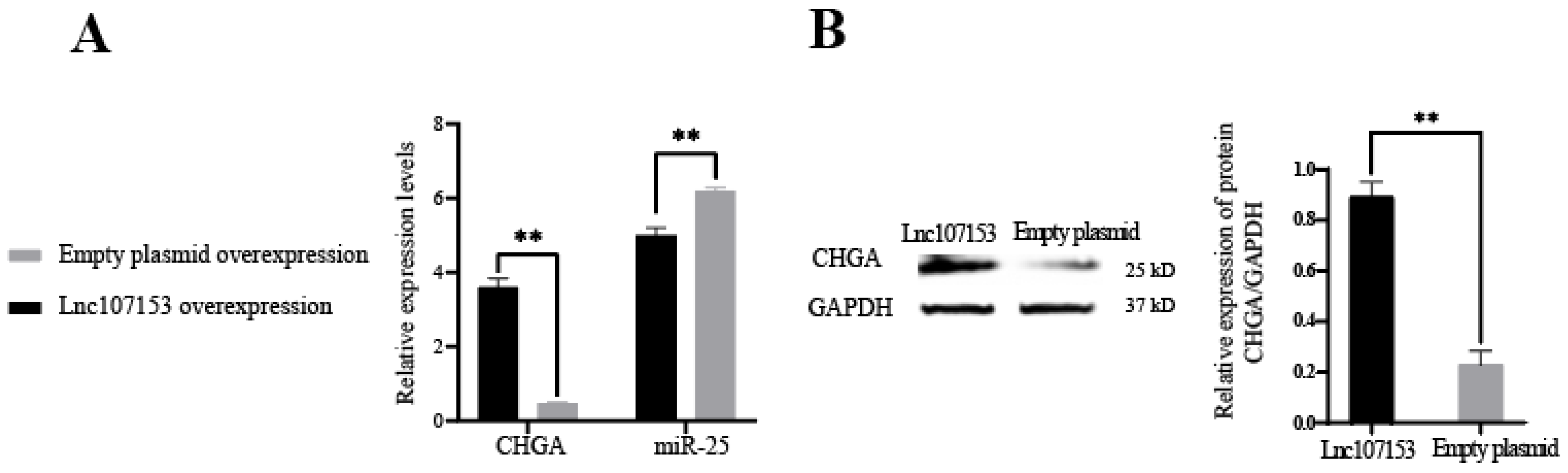 Biology 12 00250 g006 550