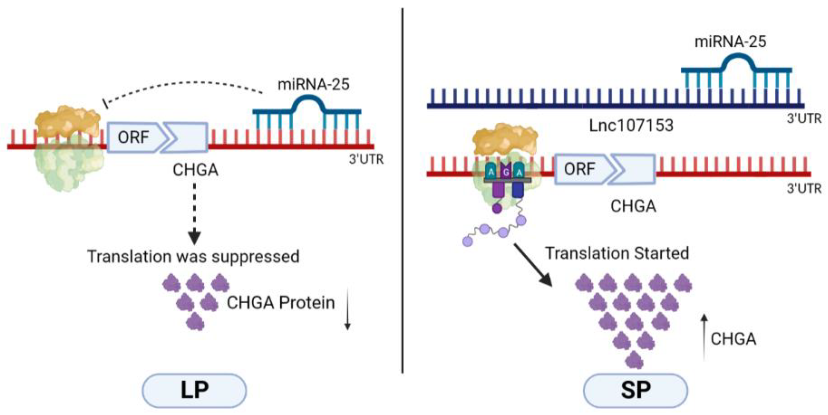 Biology 12 00250 g007 550