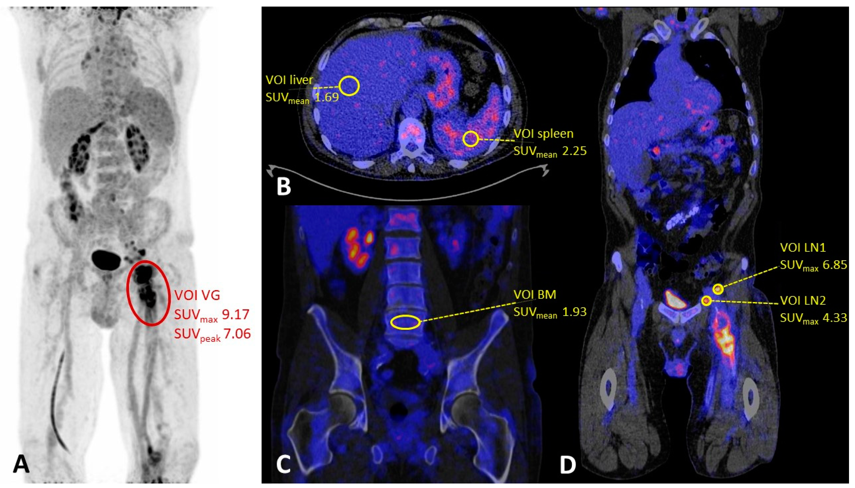 Biology 12 00251 g001 550