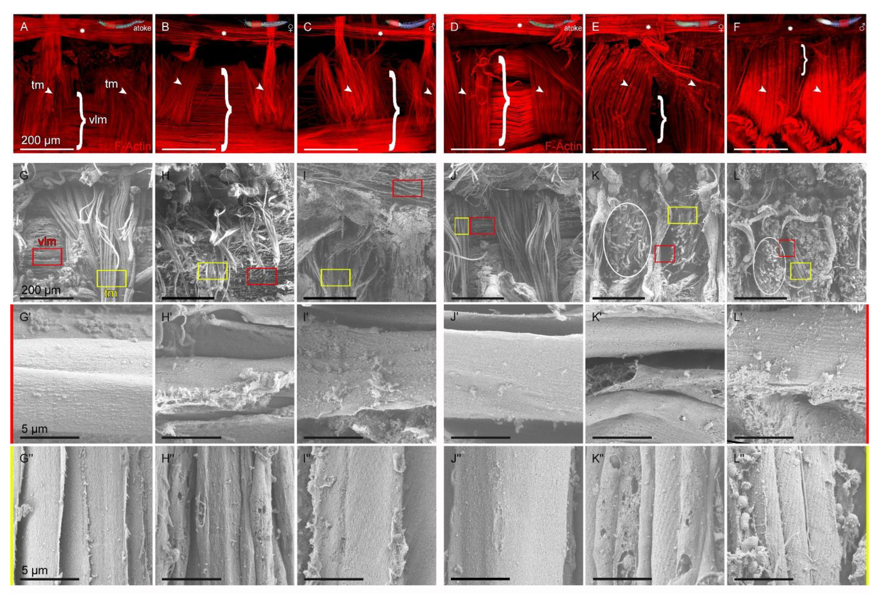 Biology 12 00254 g006 550