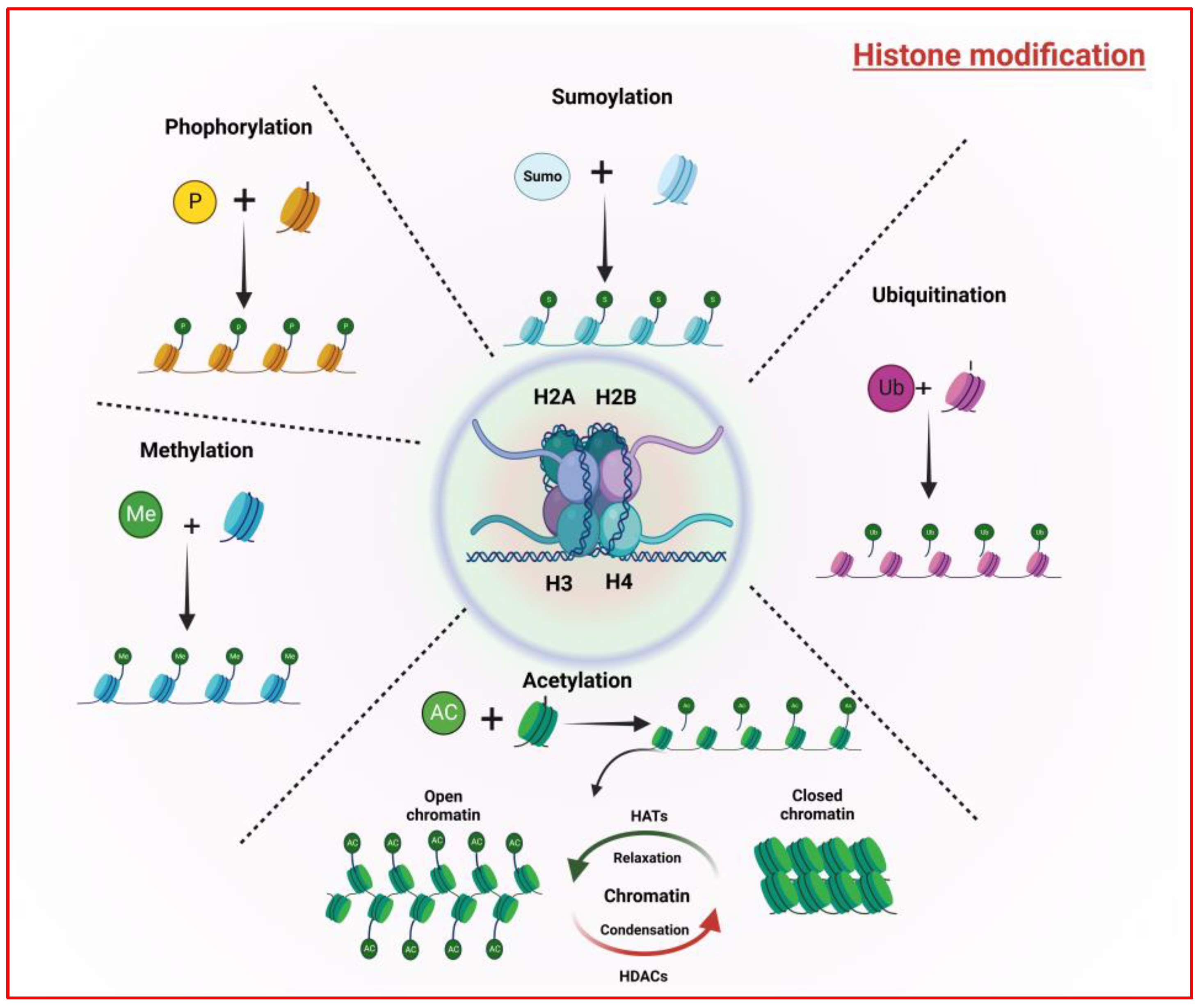 Biology 12 00256 g002 Biology 12 00256 g002