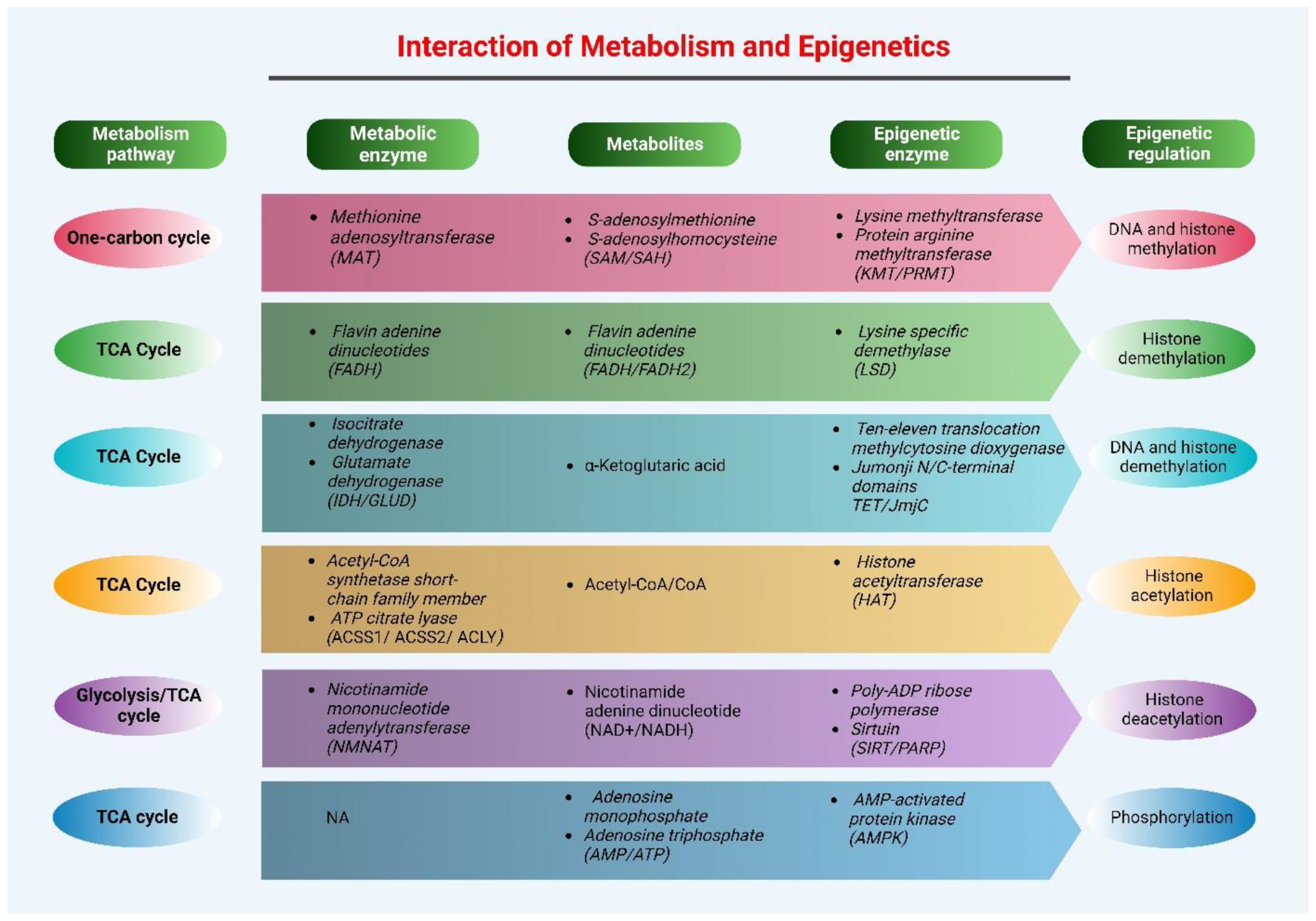 Biology 12 00256 g003 Biology 12 00256 g003