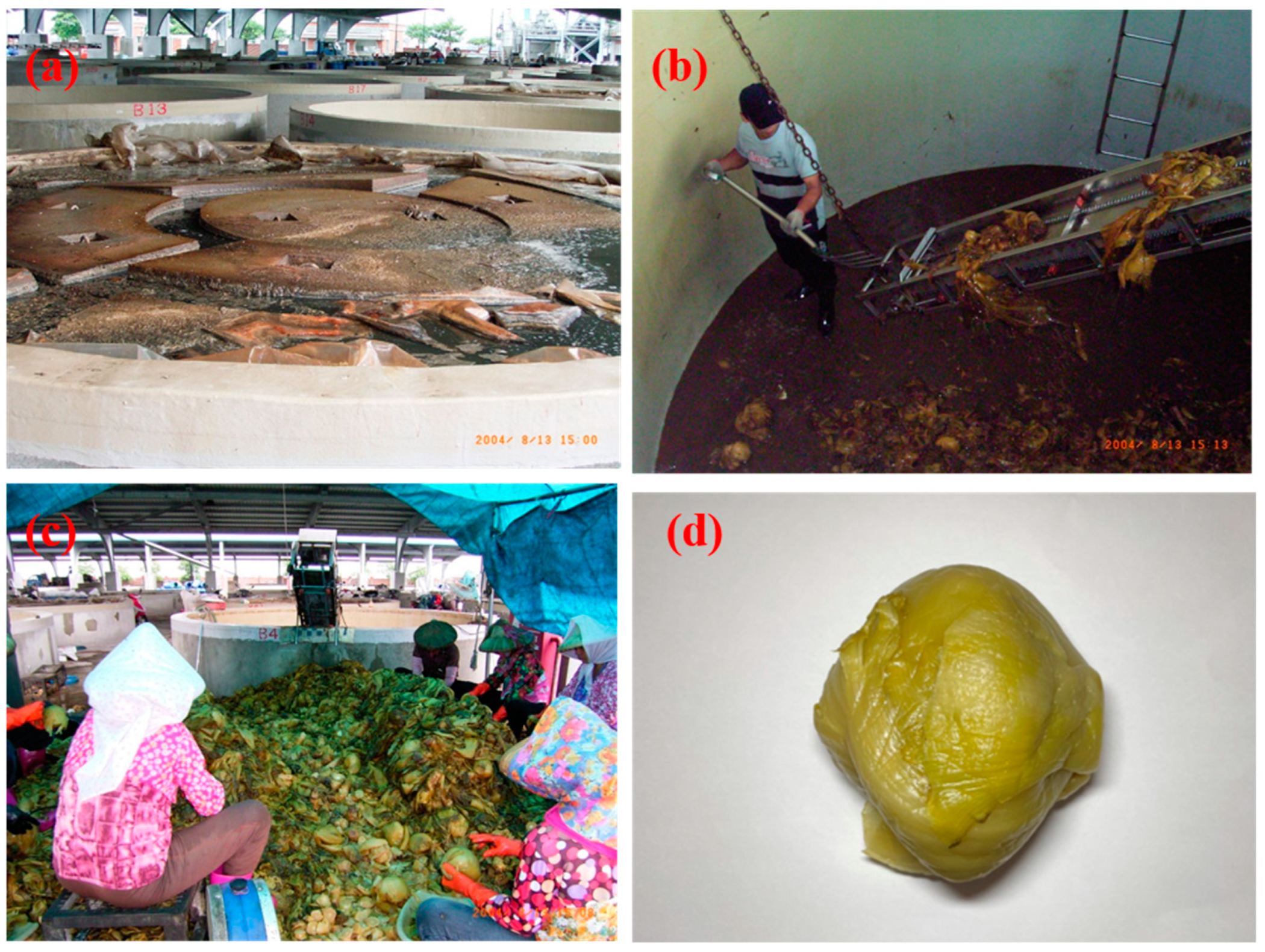 Biology 12 00258 g001