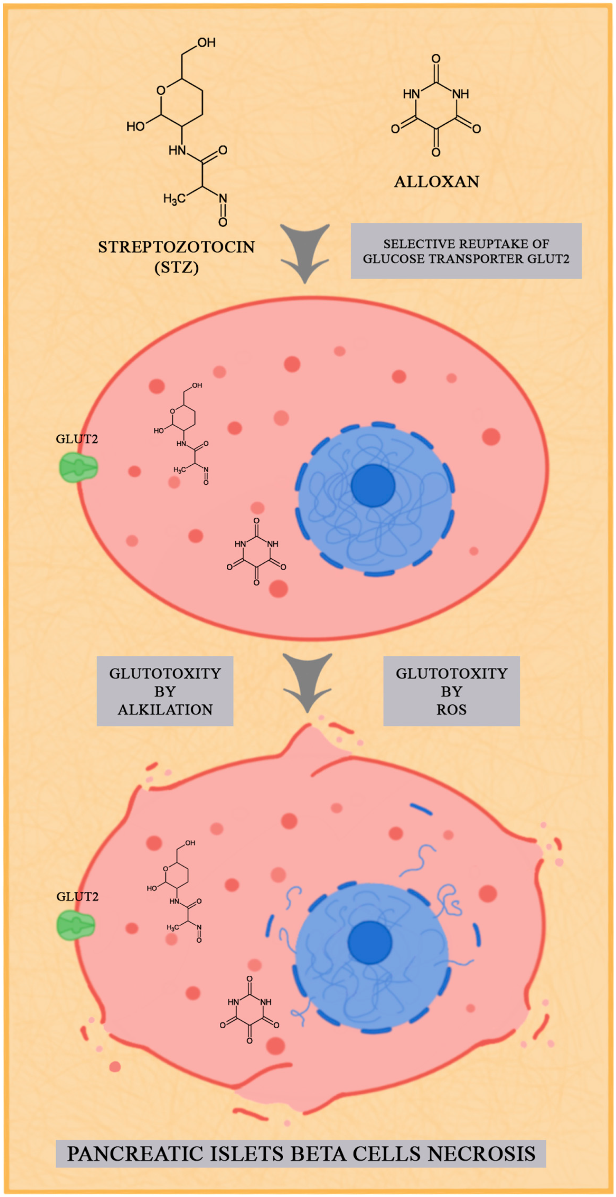 Biology 12 00262 g001 Biology 12 00262 g001