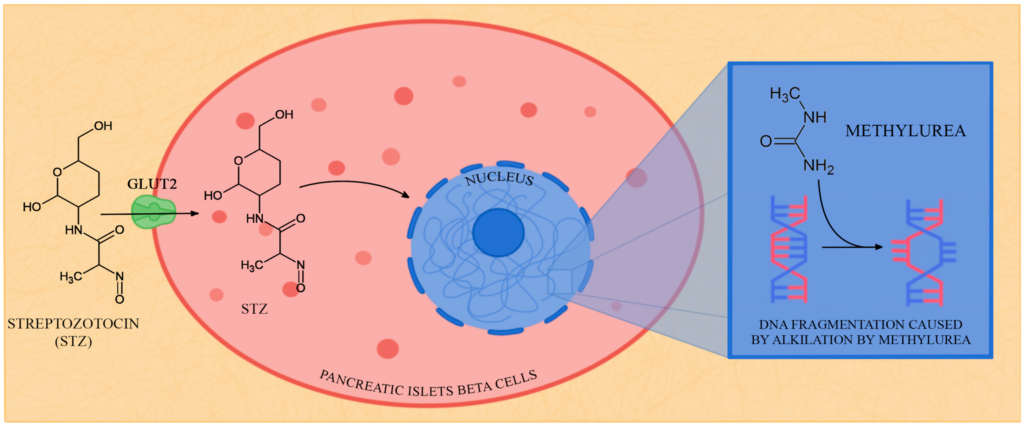 Biology 12 00262 g002 Biology 12 00262 g002