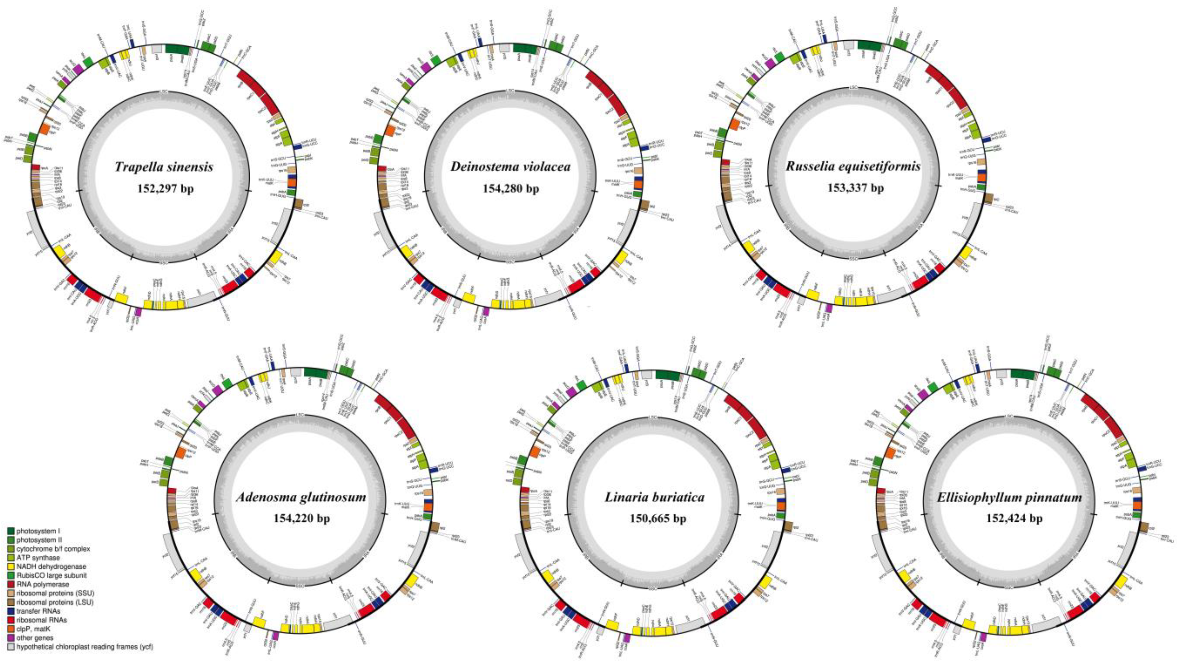 Biology 12 00263 g001 Biology 12 00263 g001