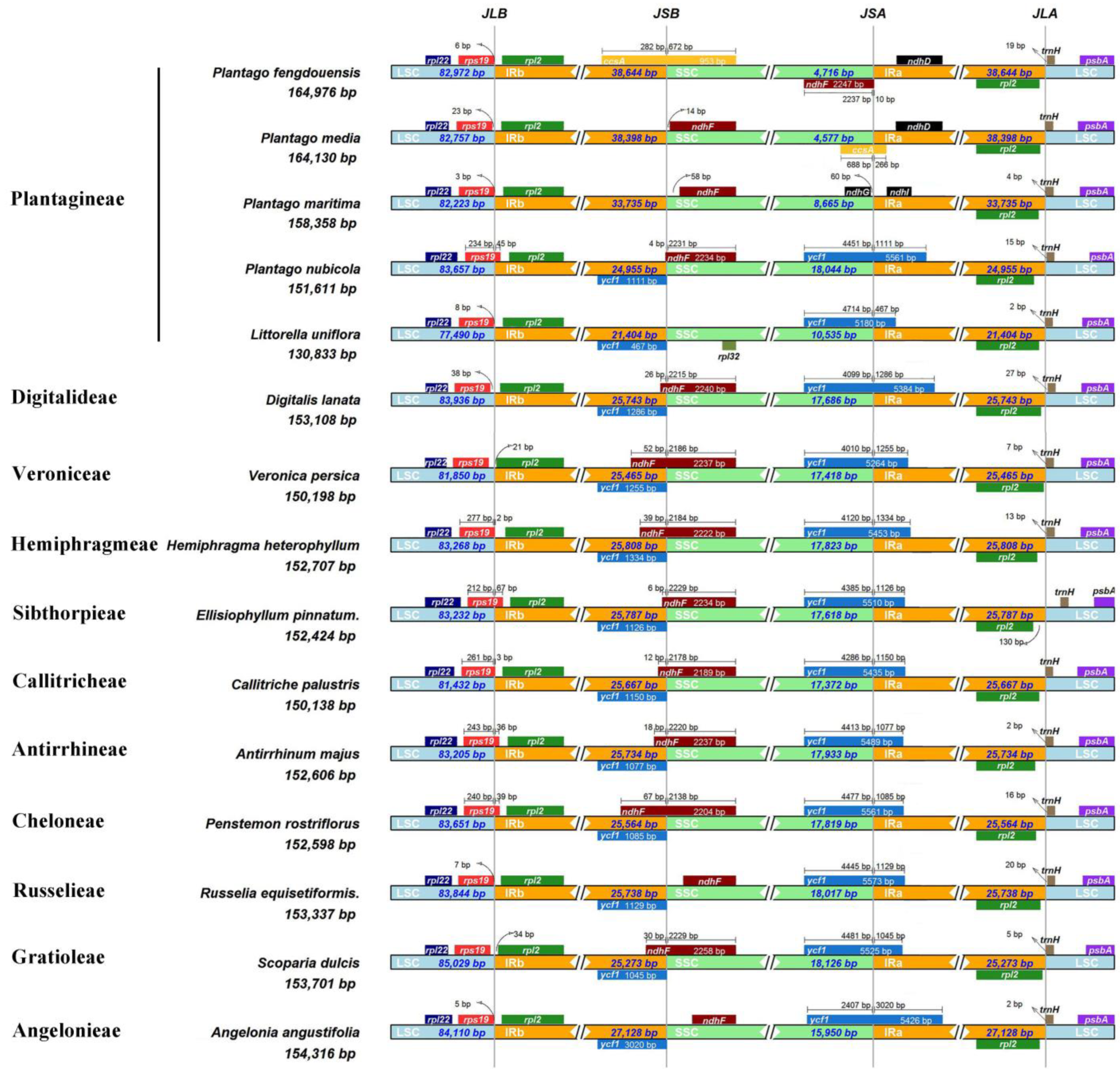 Biology 12 00263 g002 Biology 12 00263 g002