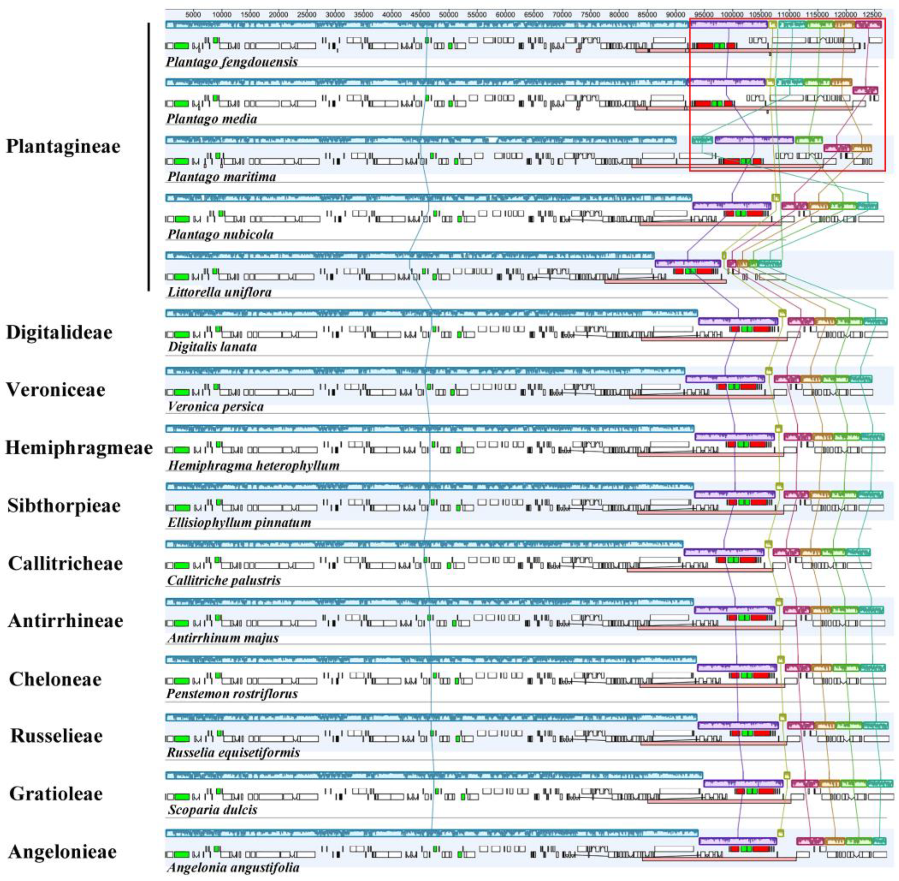Biology 12 00263 g003 Biology 12 00263 g003