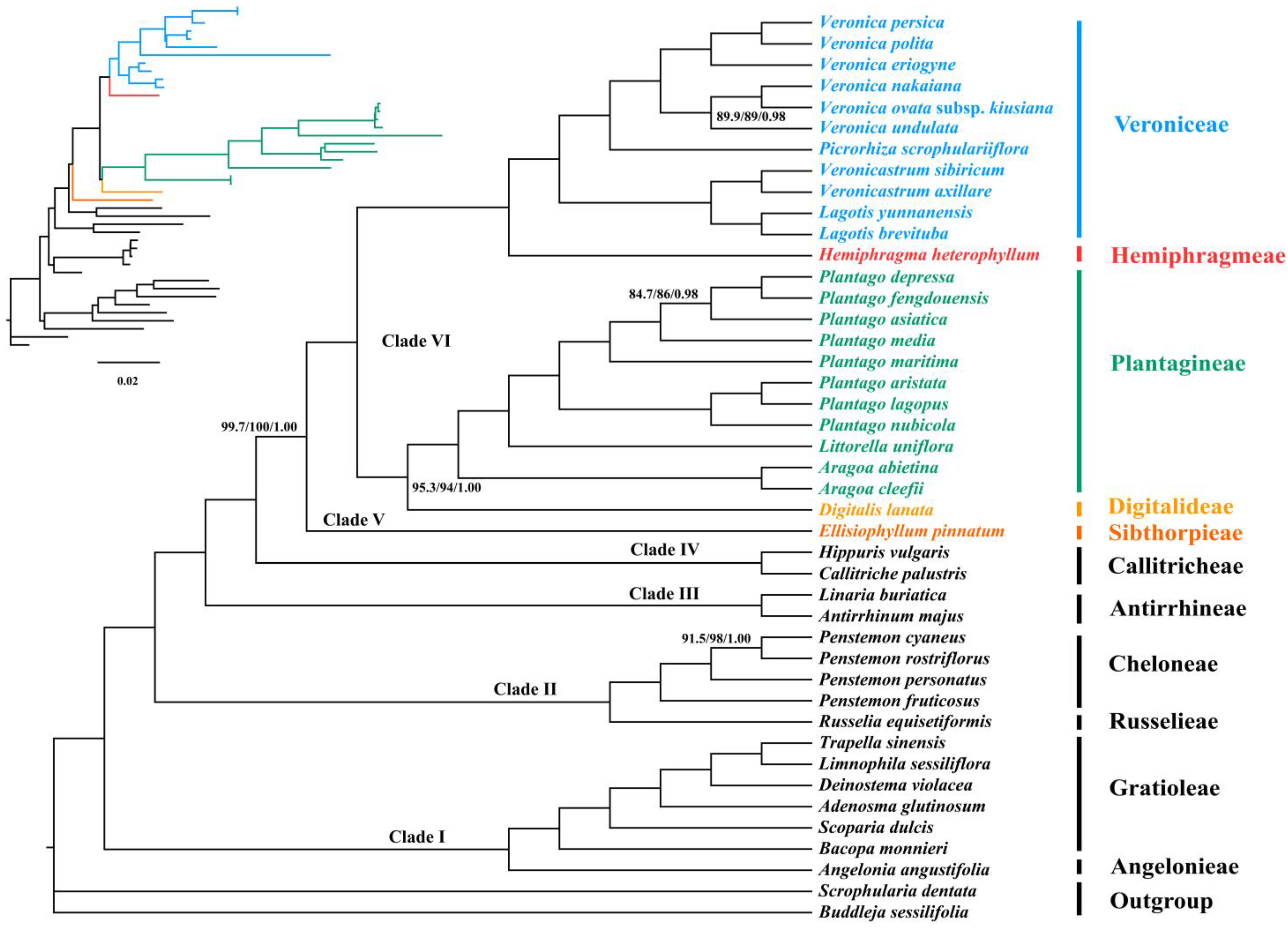 Biology 12 00263 g004 Biology 12 00263 g004