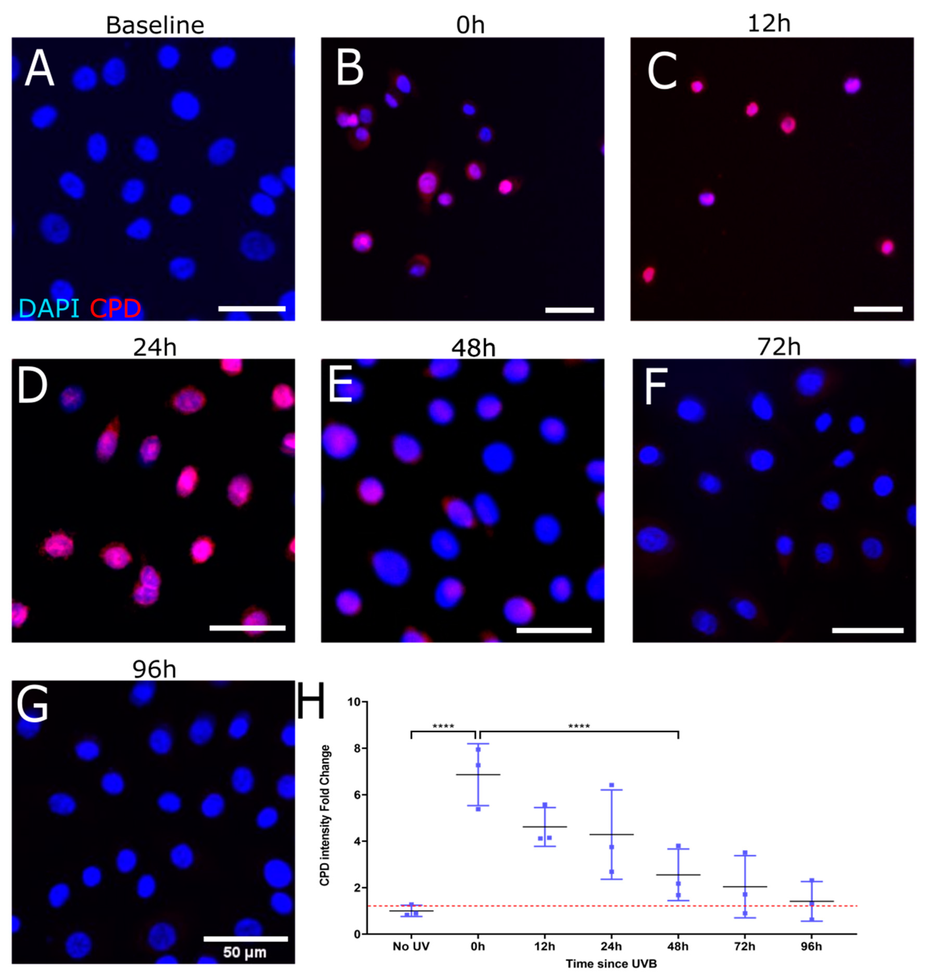 Biology 12 00265 g002 Biology 12 00265 g002