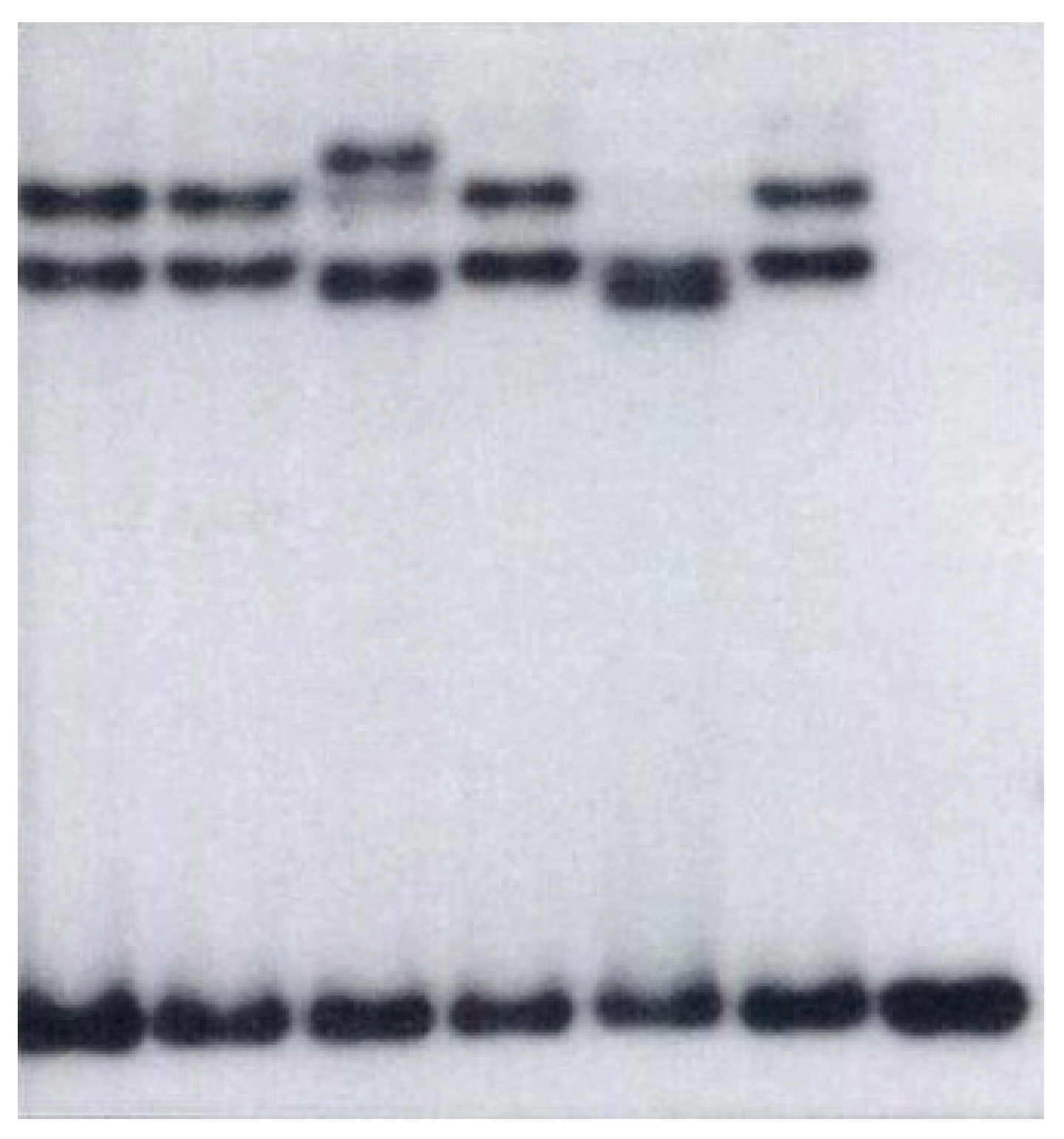 Biology 12 00267 g003