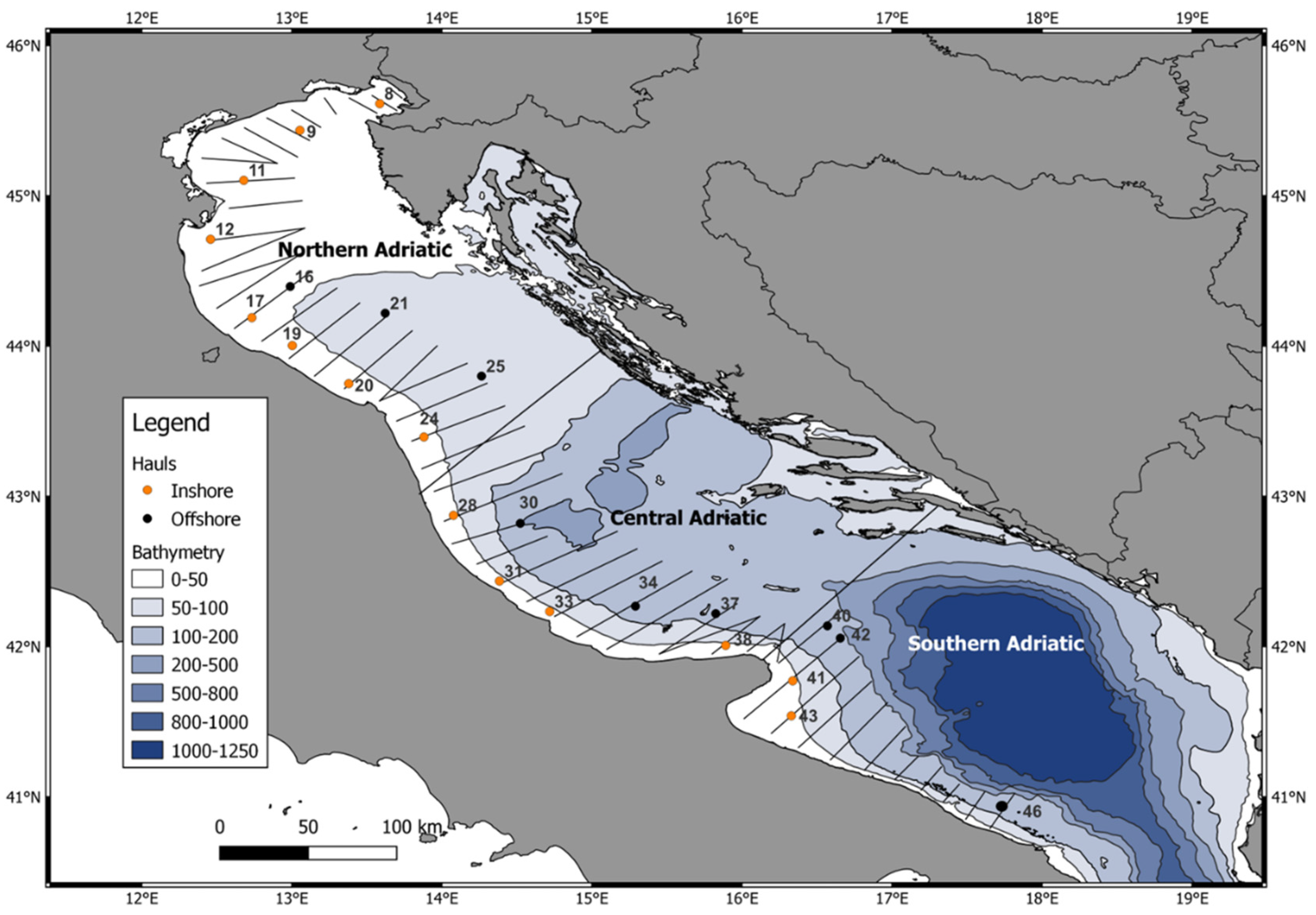 Biology 12 00272 g001 Biology 12 00272 g001