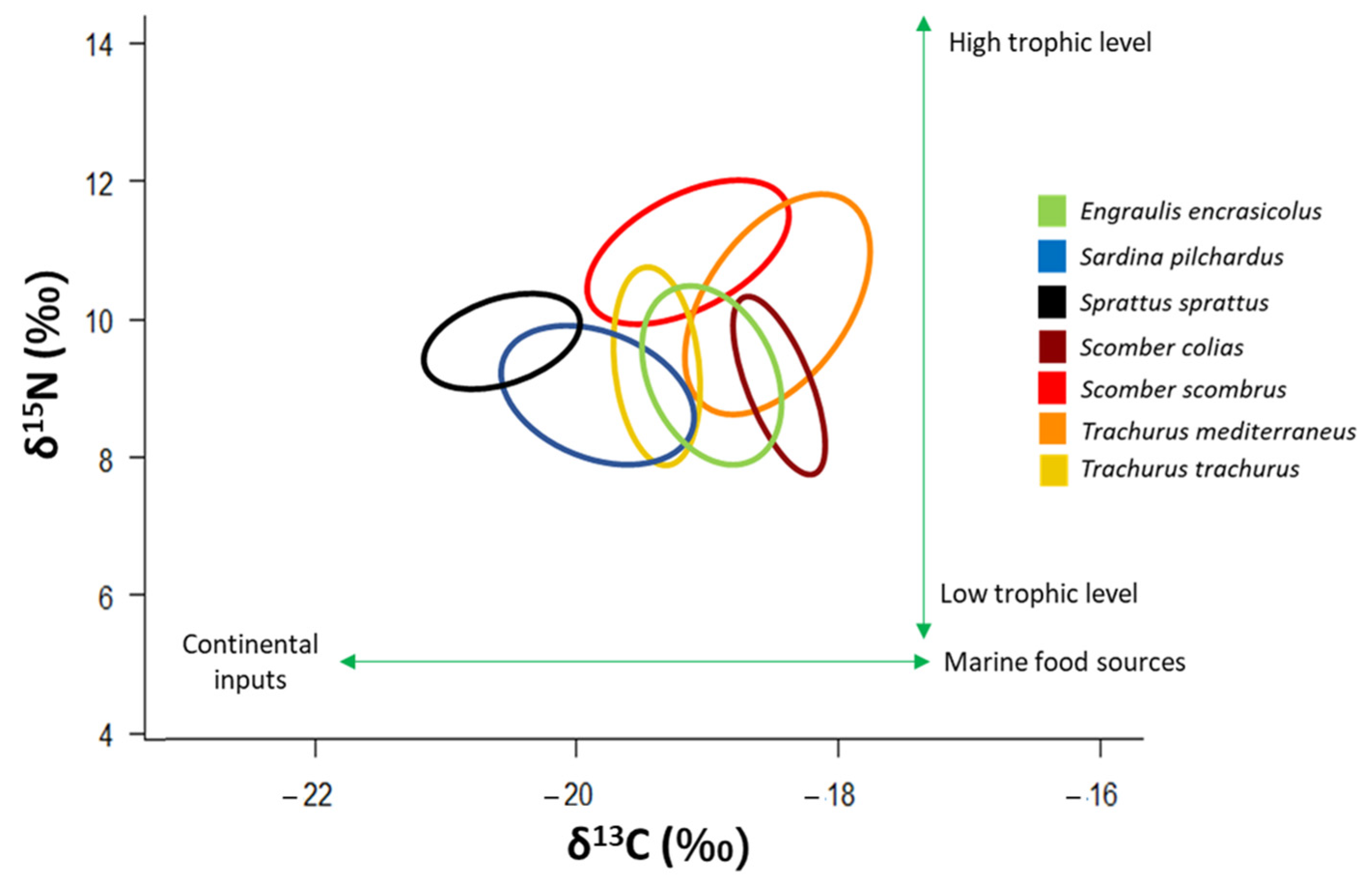 Biology 12 00272 g007 Biology 12 00272 g007