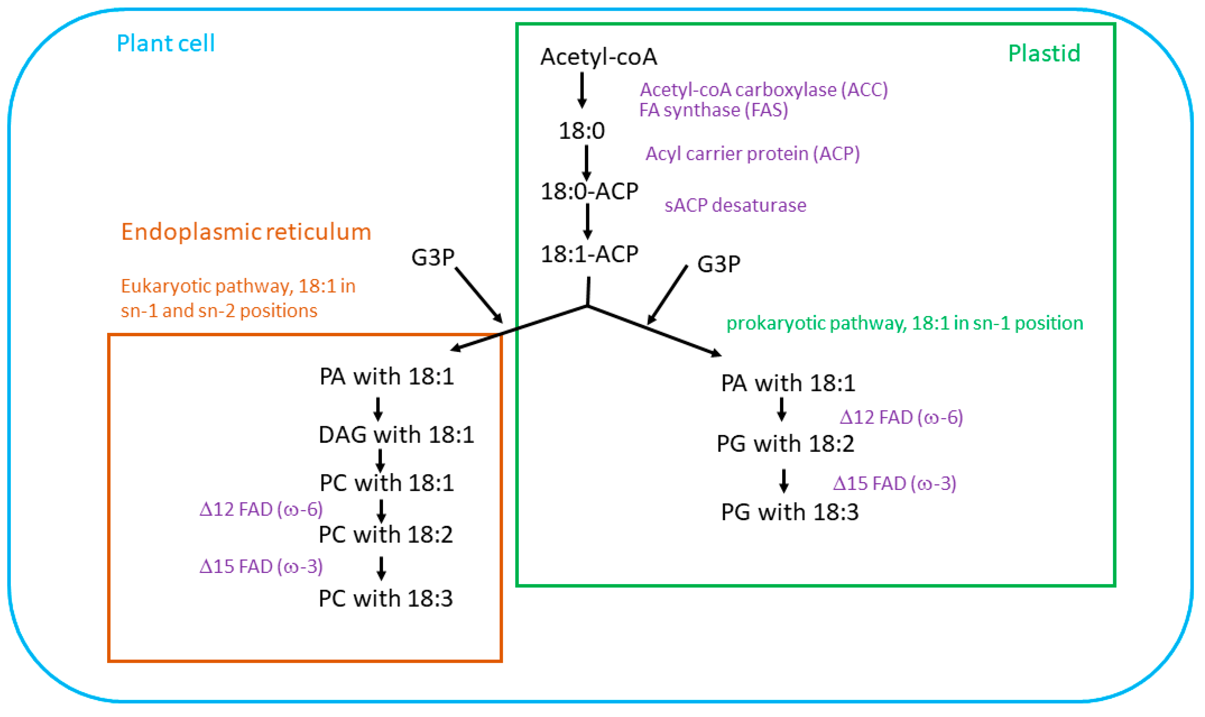 Biology 12 00279 g002 Biology 12 00279 g002