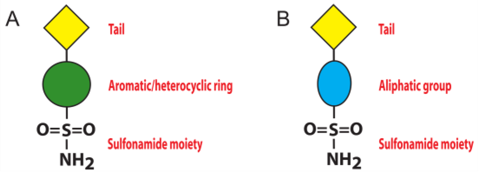 Biology 12 00281 g001
