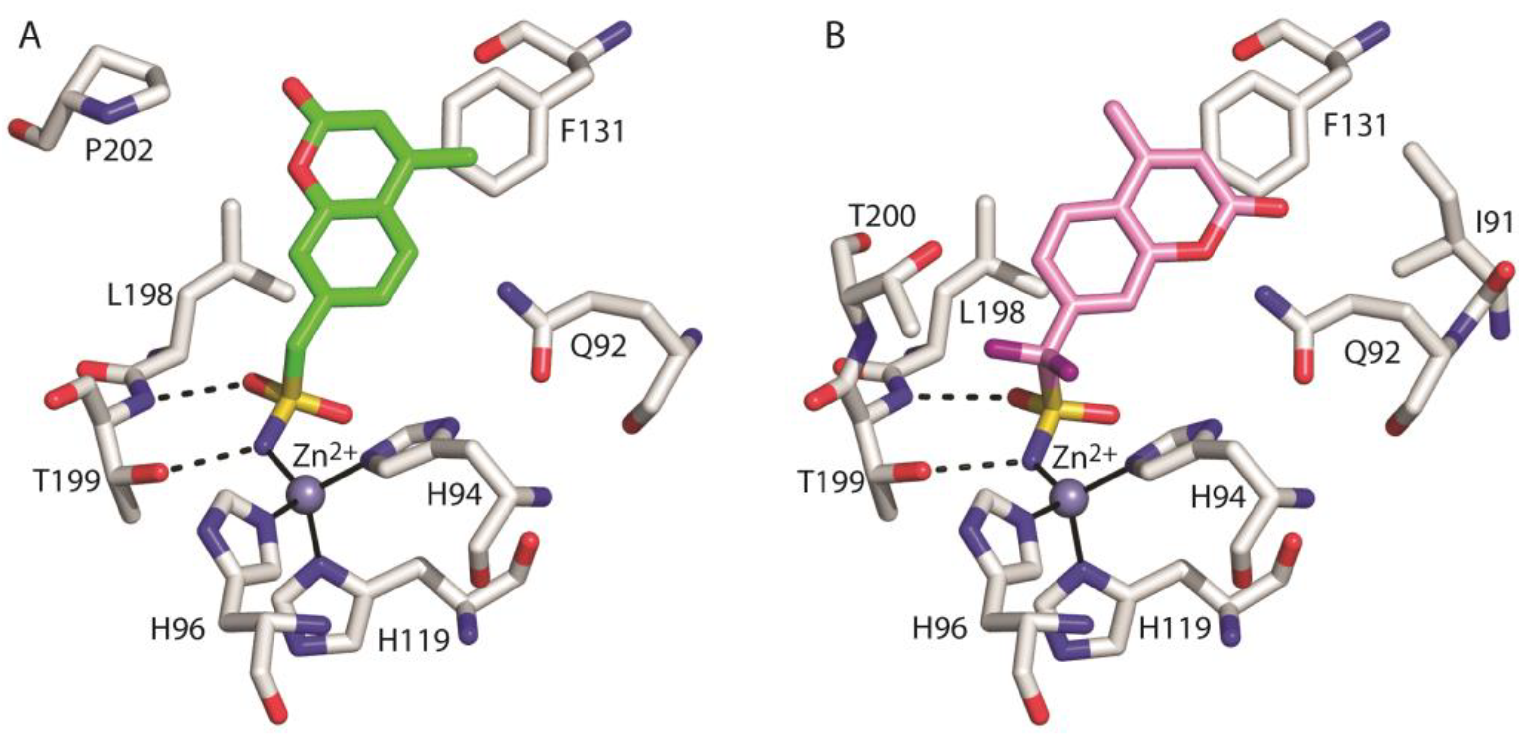 Biology 12 00281 g004