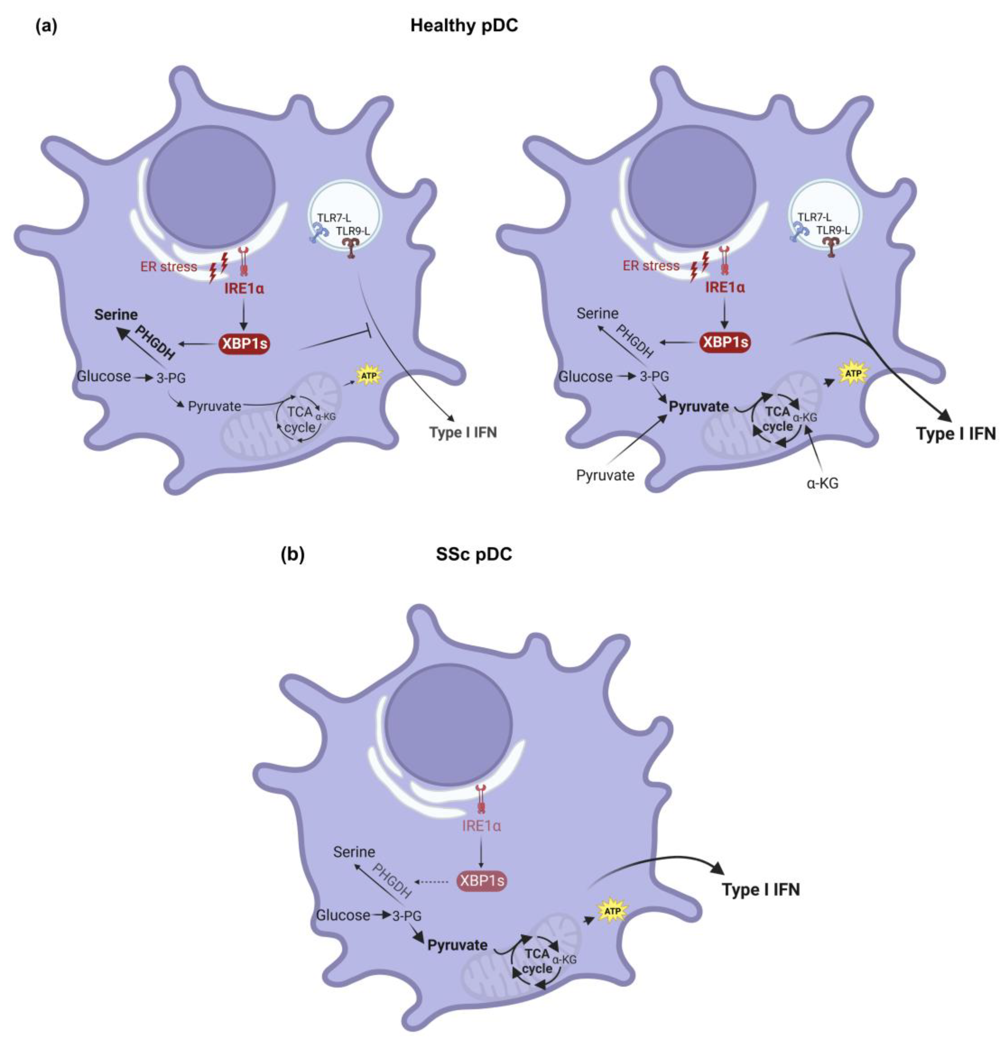 Biology 12 00285 g002 Biology 12 00285 g002