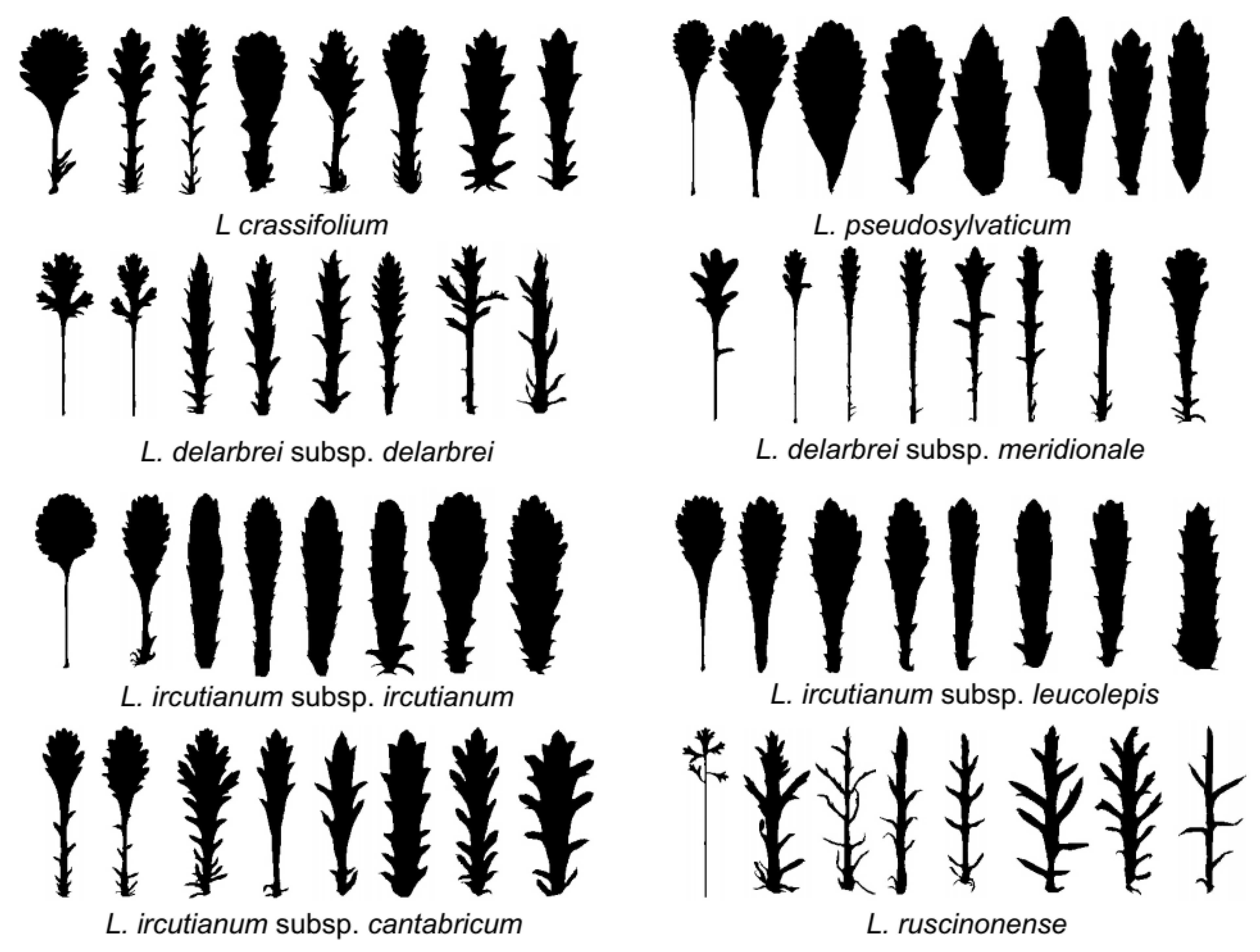 Biology 12 00288 g005 Biology 12 00288 g005