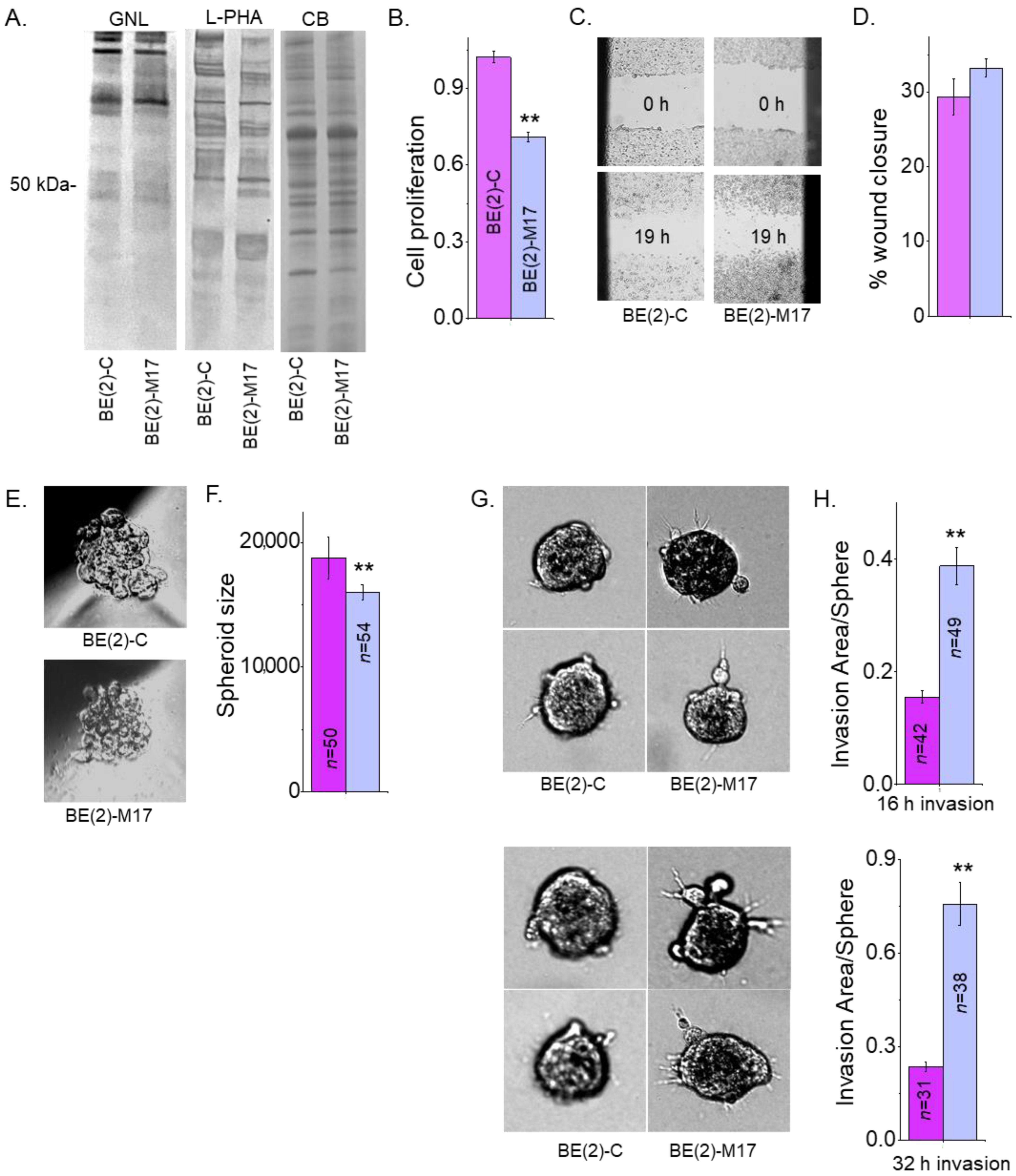 Biology 12 00293 g007 Biology 12 00293 g007