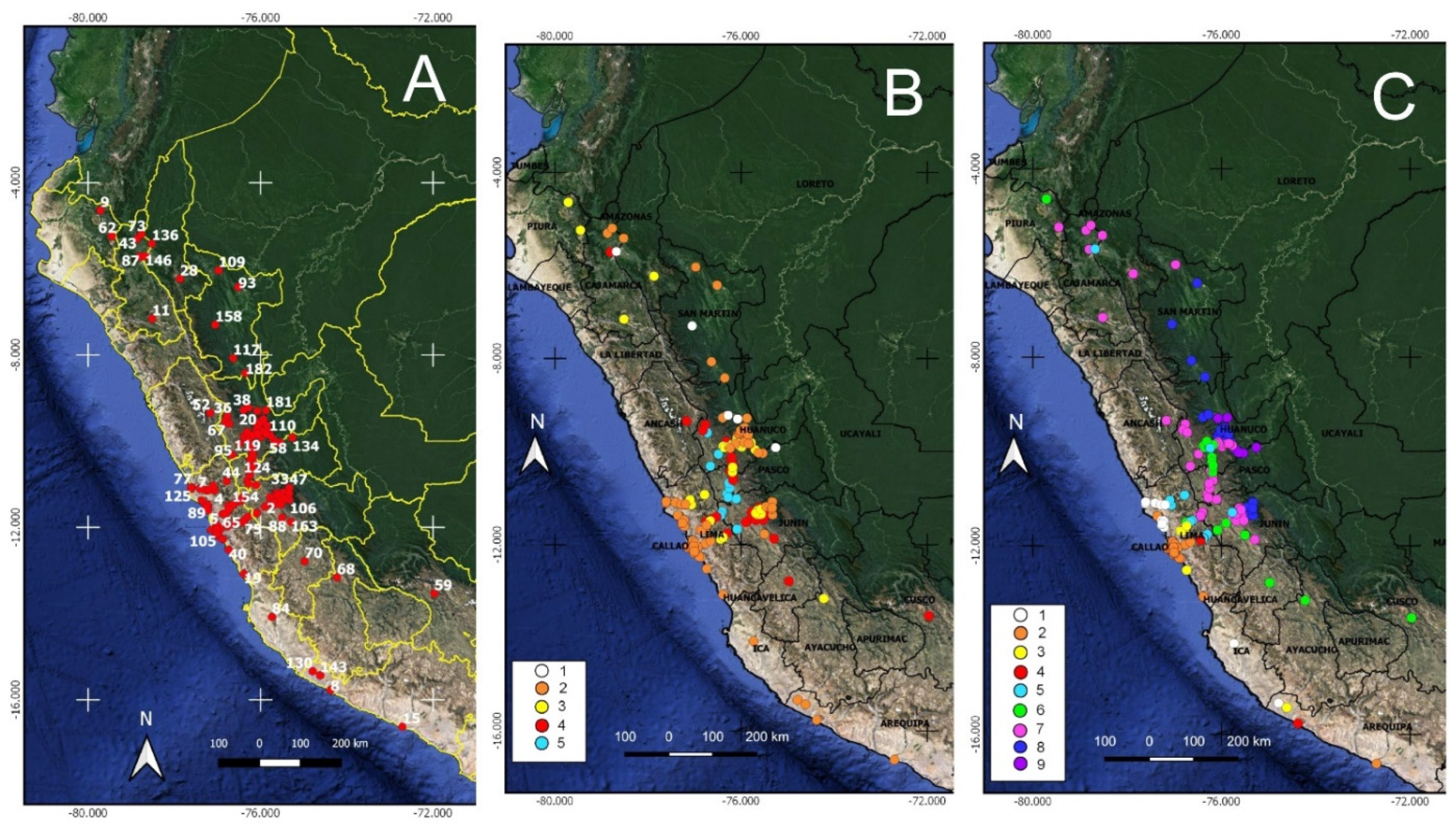 Biology Free Full-Text Biogeographical Relationships and Diversity in the Peruvian Flora Reported by Hipandoacute;lito Ruiz and Josandeacute; Pavandoacute;n Vegetation, Uses and Anthropology