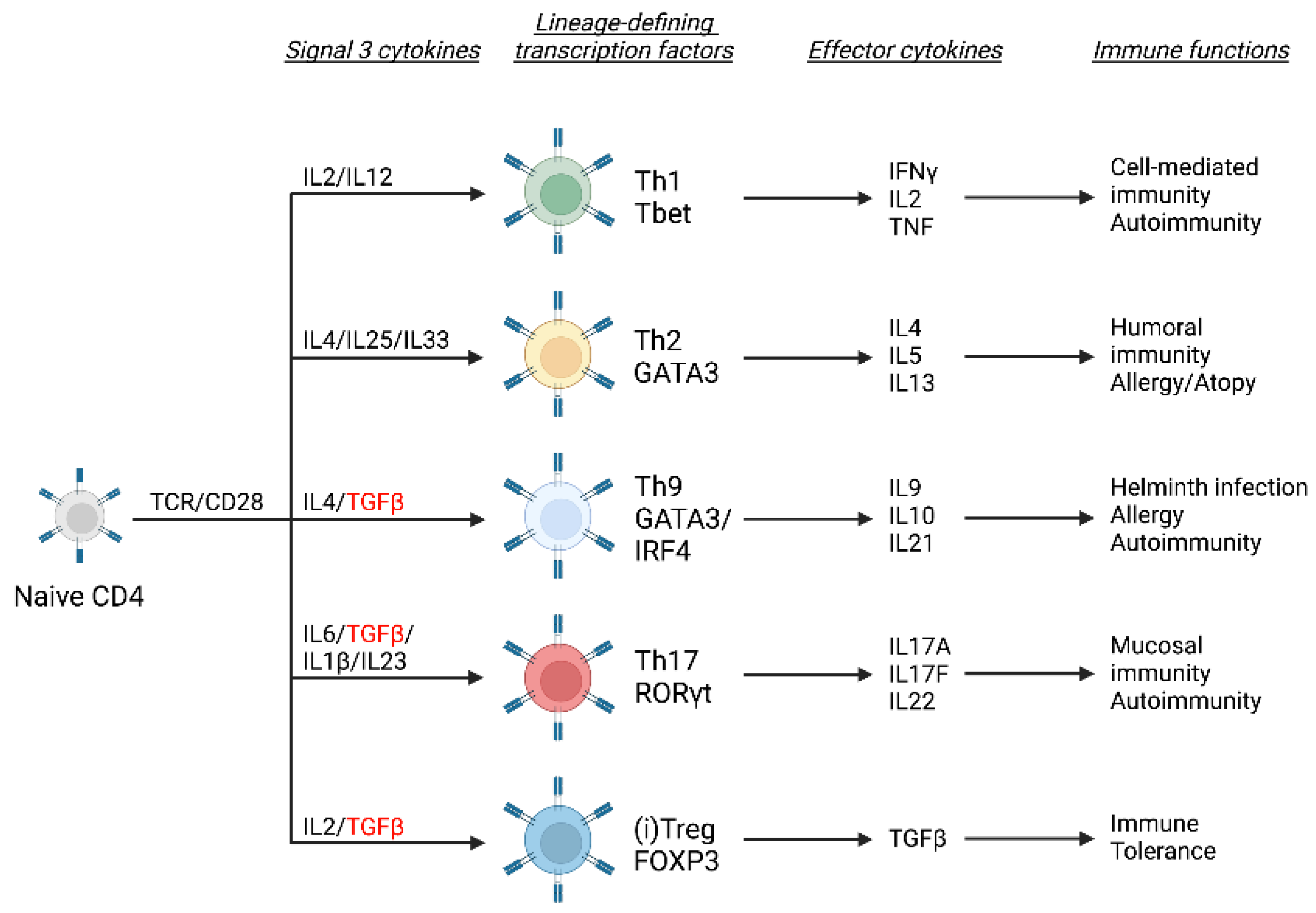 Biology 12 00297 g001 550