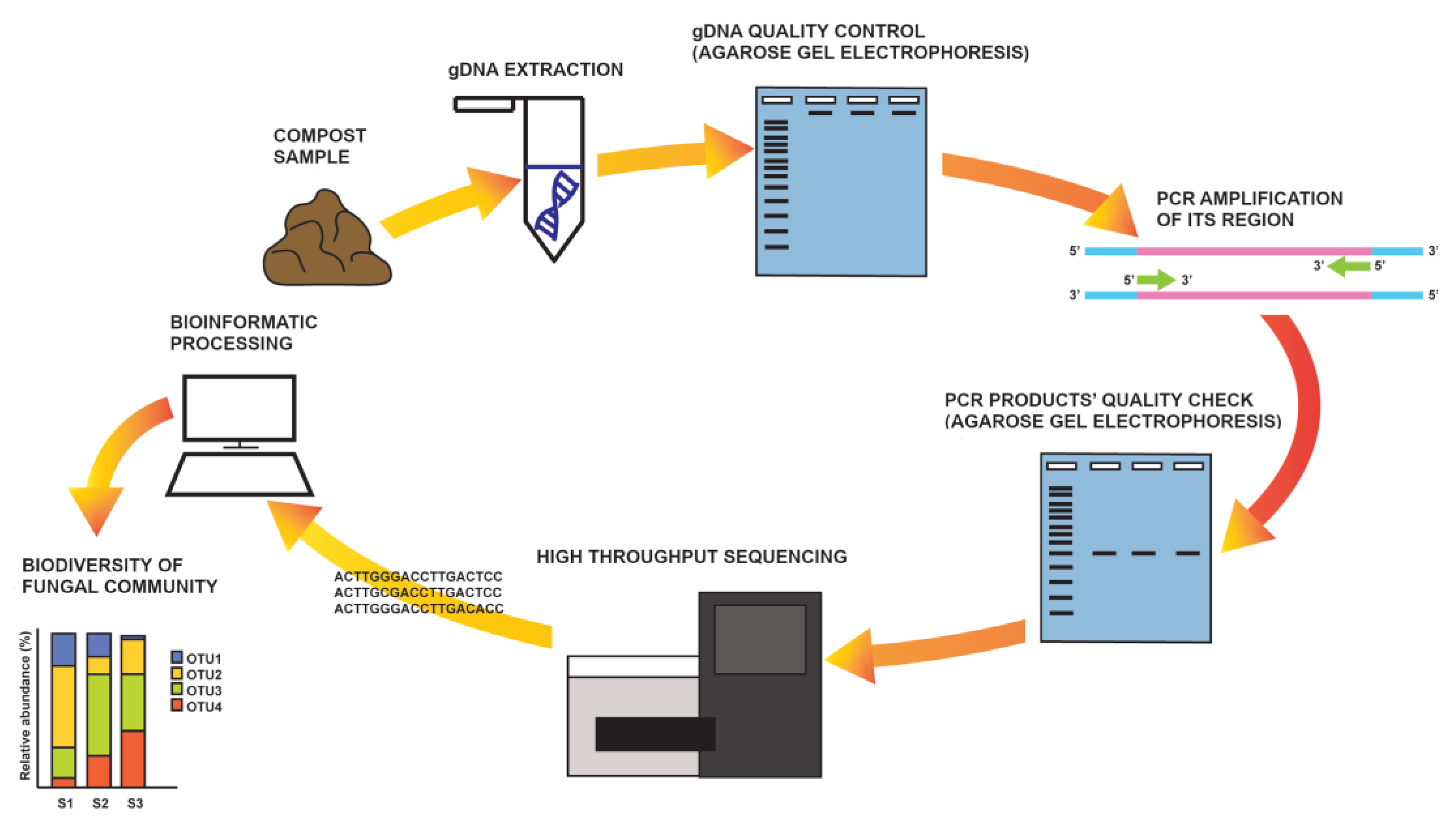 Biology 12 00299 g001