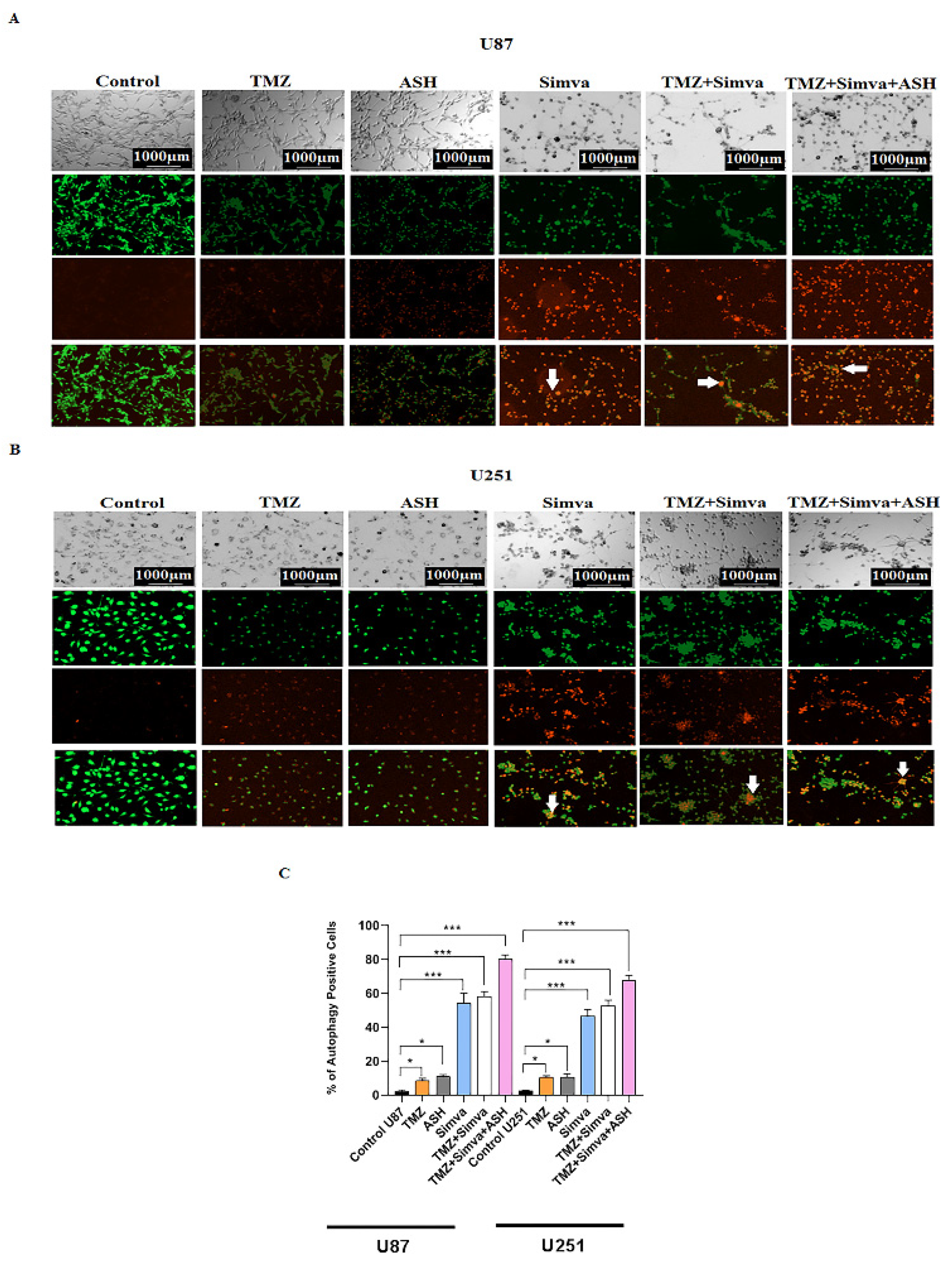 Biology 12 00302 g004a