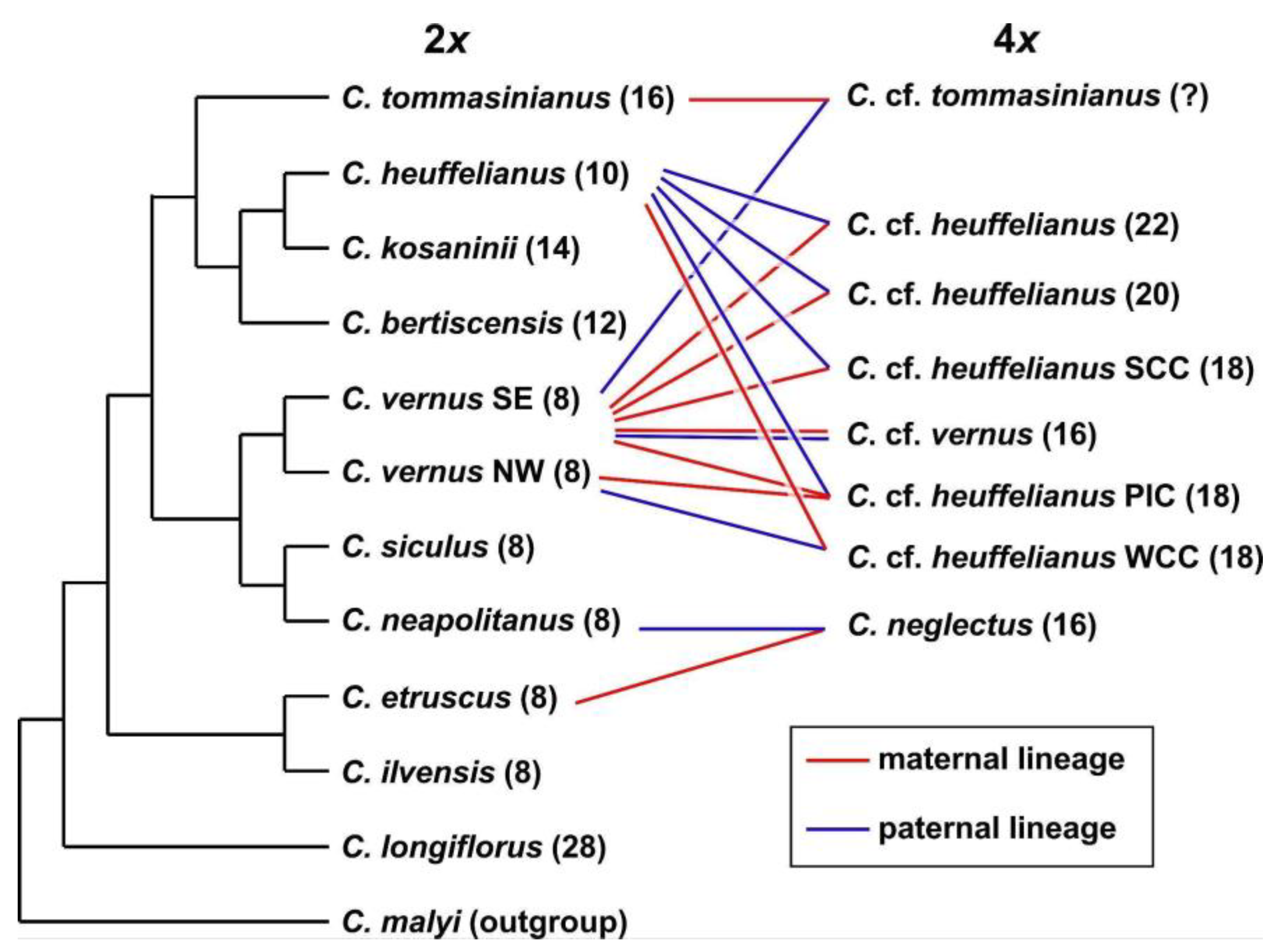 Biology 12 00303 g008 Biology 12 00303 g008