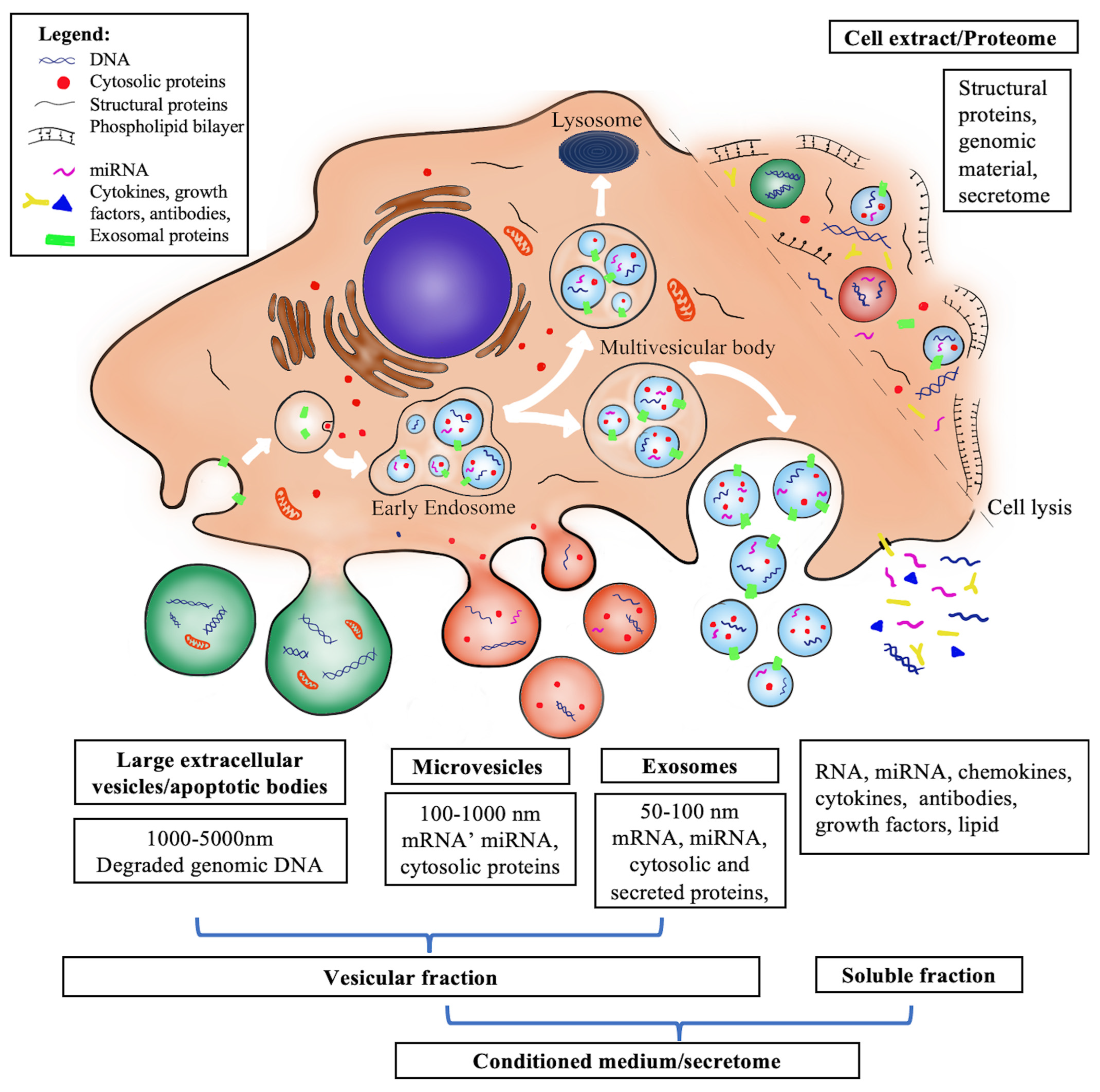 Biology 12 00305 g002 Biology 12 00305 g002