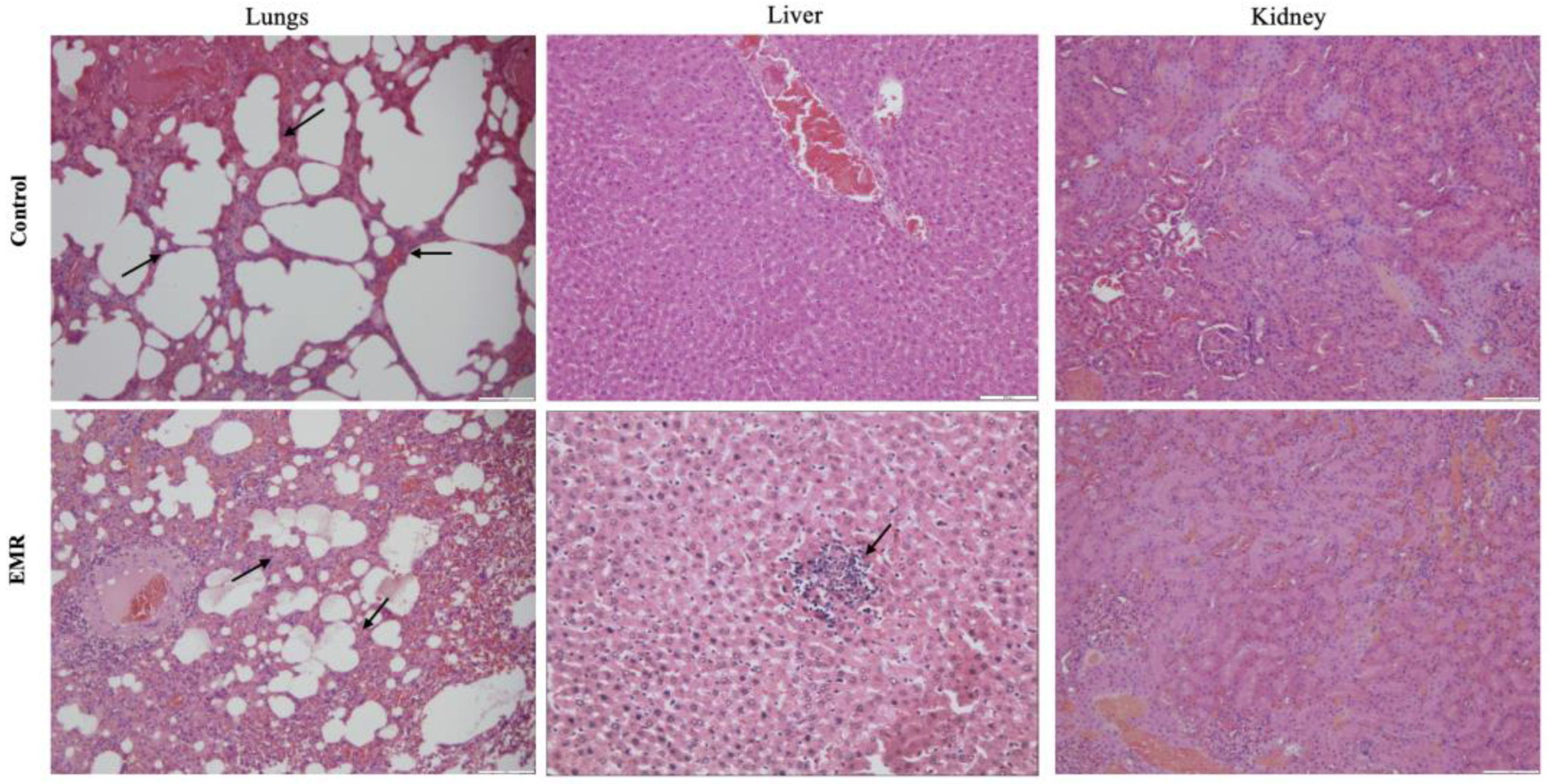 Biology 12 00310 g004