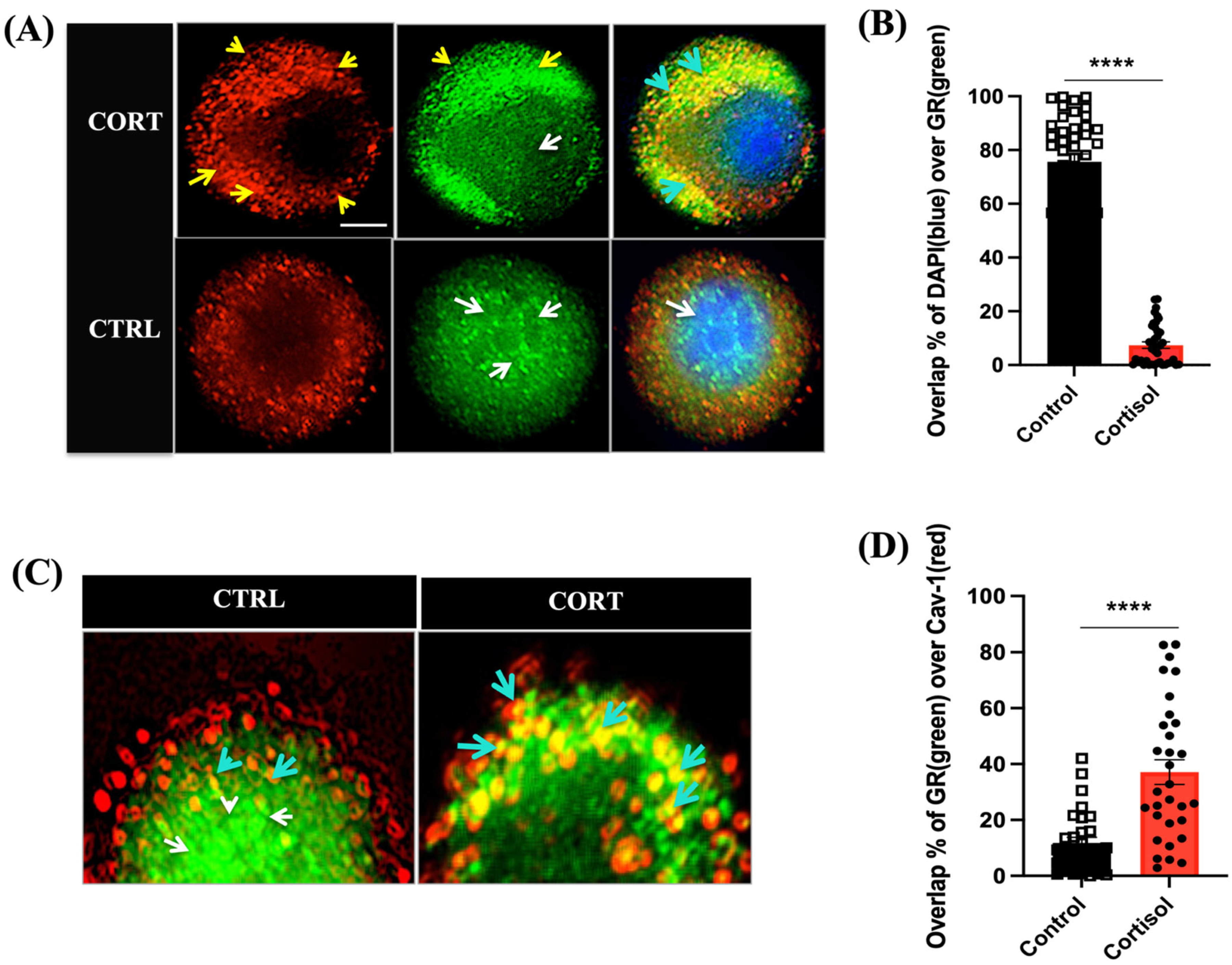 Biology 12 00311 g001