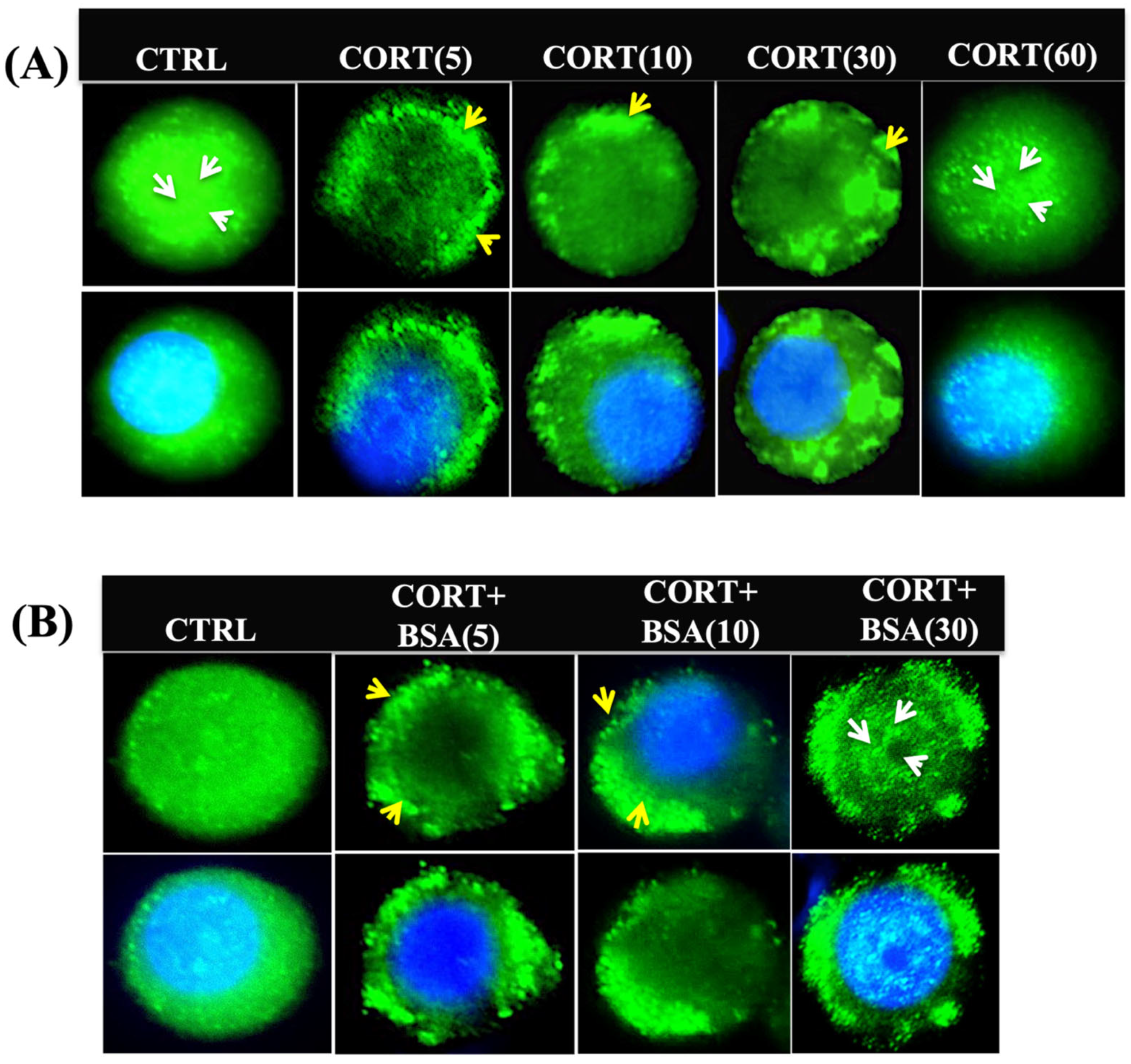 Biology 12 00311 g002