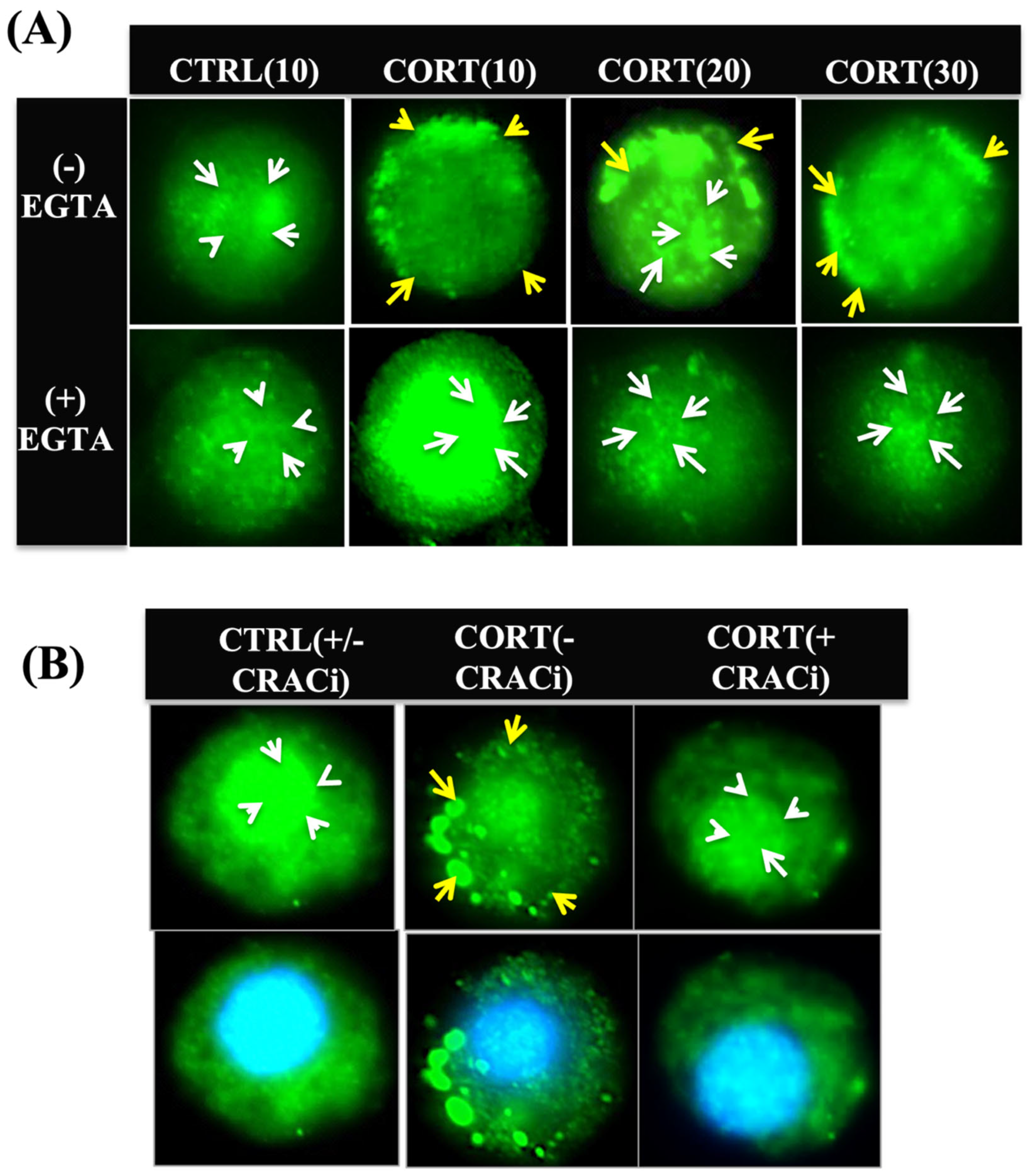 Biology 12 00311 g003