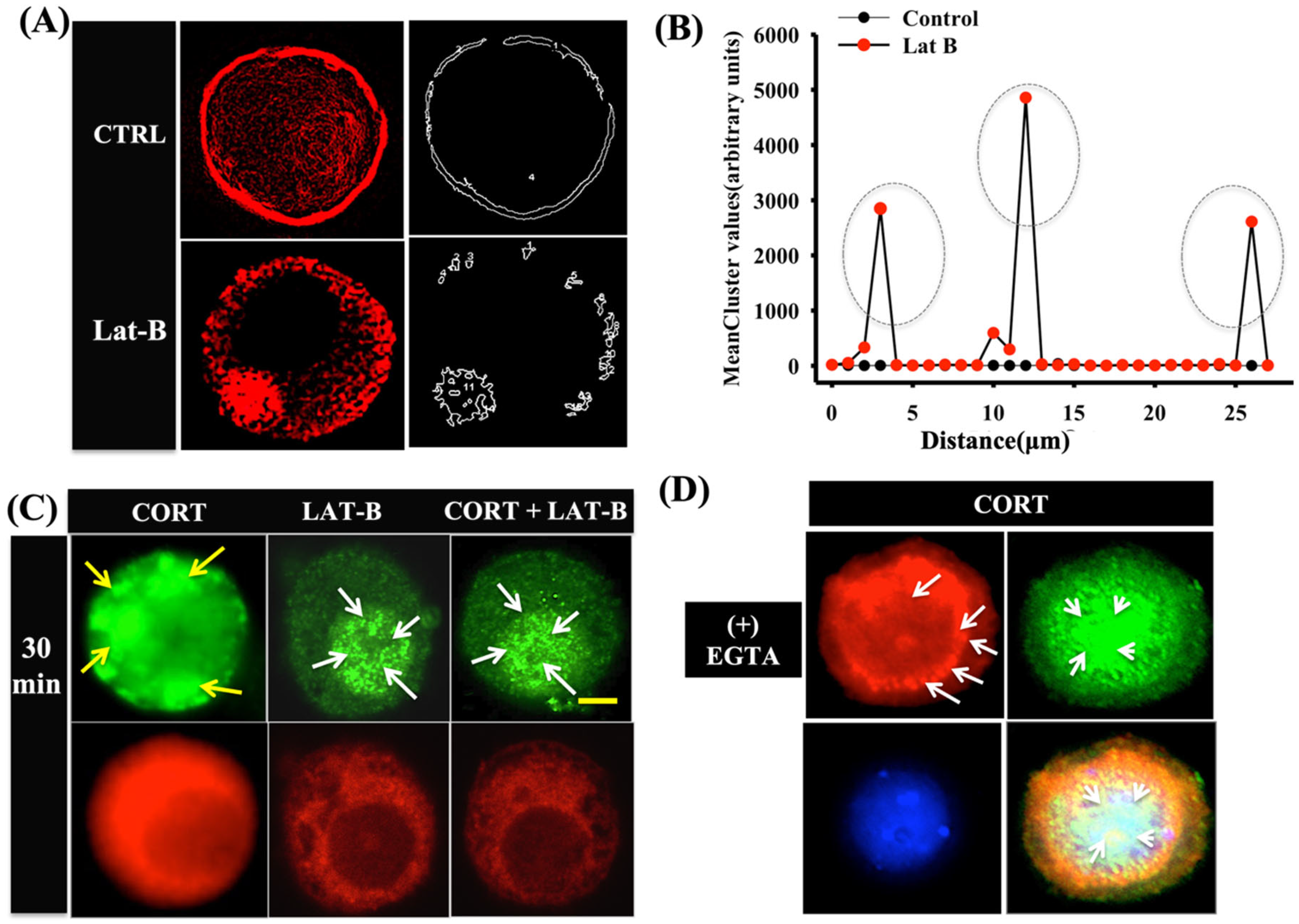 Biology 12 00311 g004