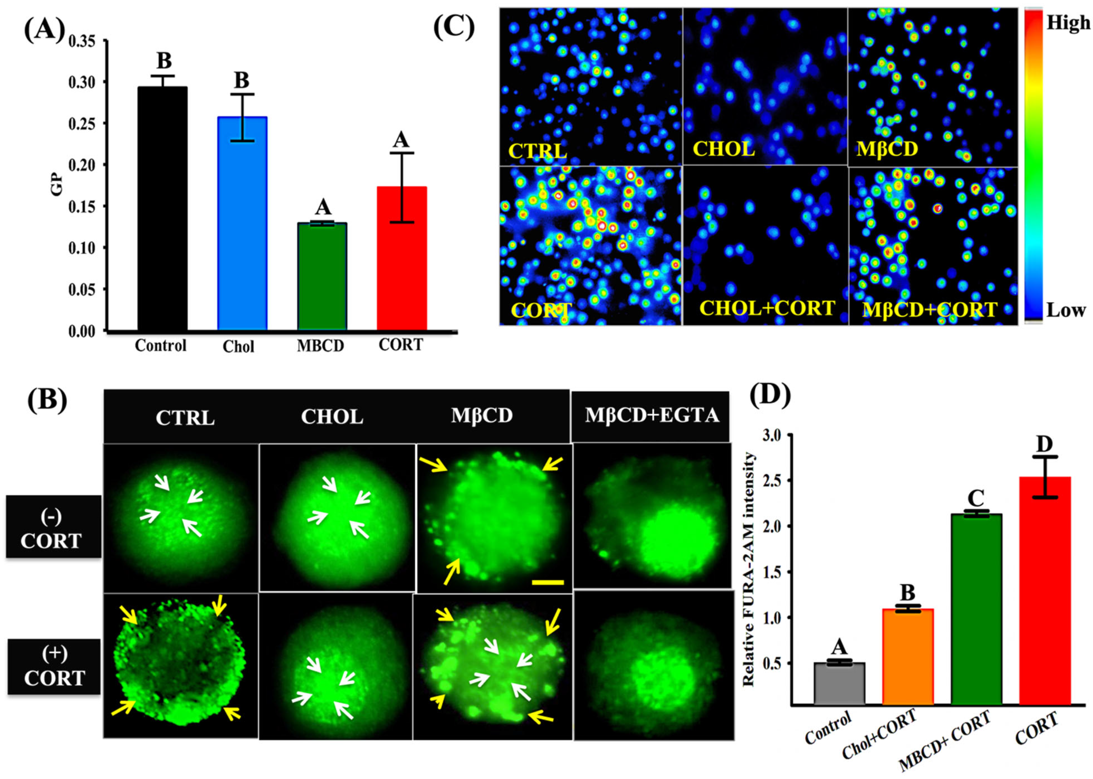 Biology 12 00311 g005