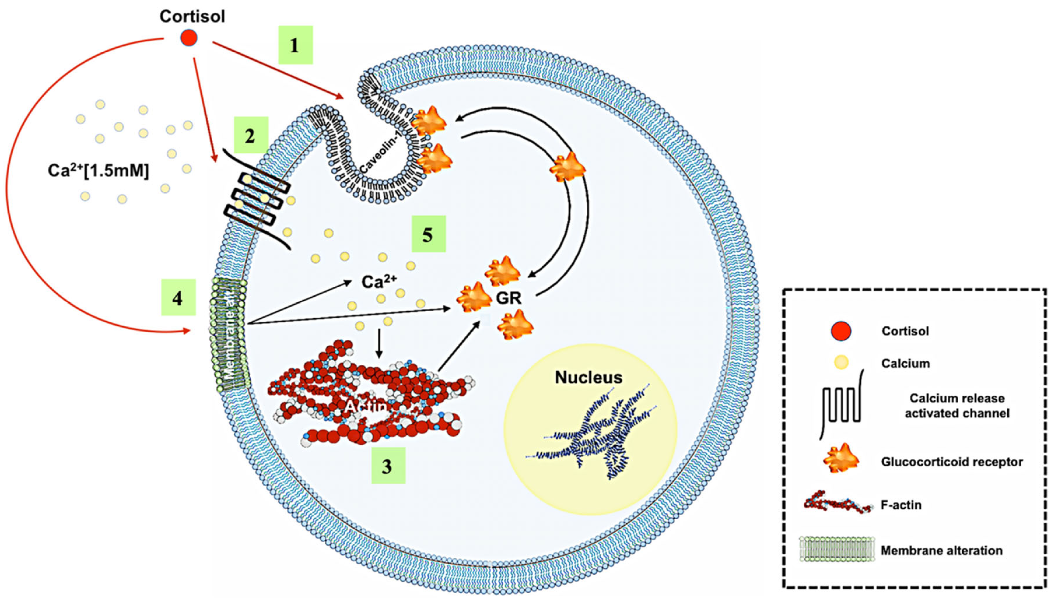 Biology 12 00311 g006