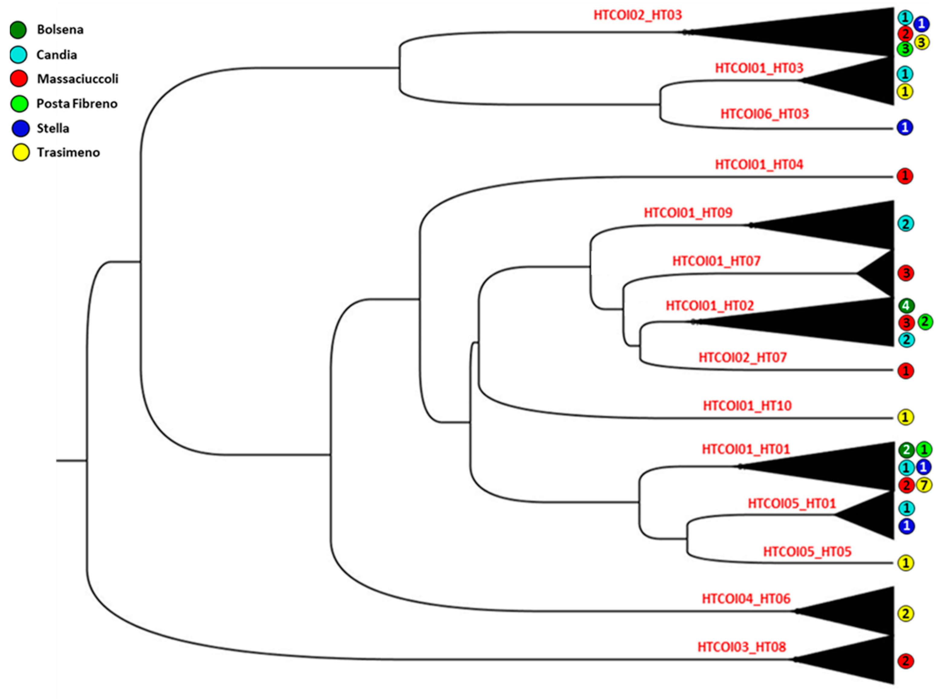 Biology 12 00313 g005 Biology 12 00313 g005