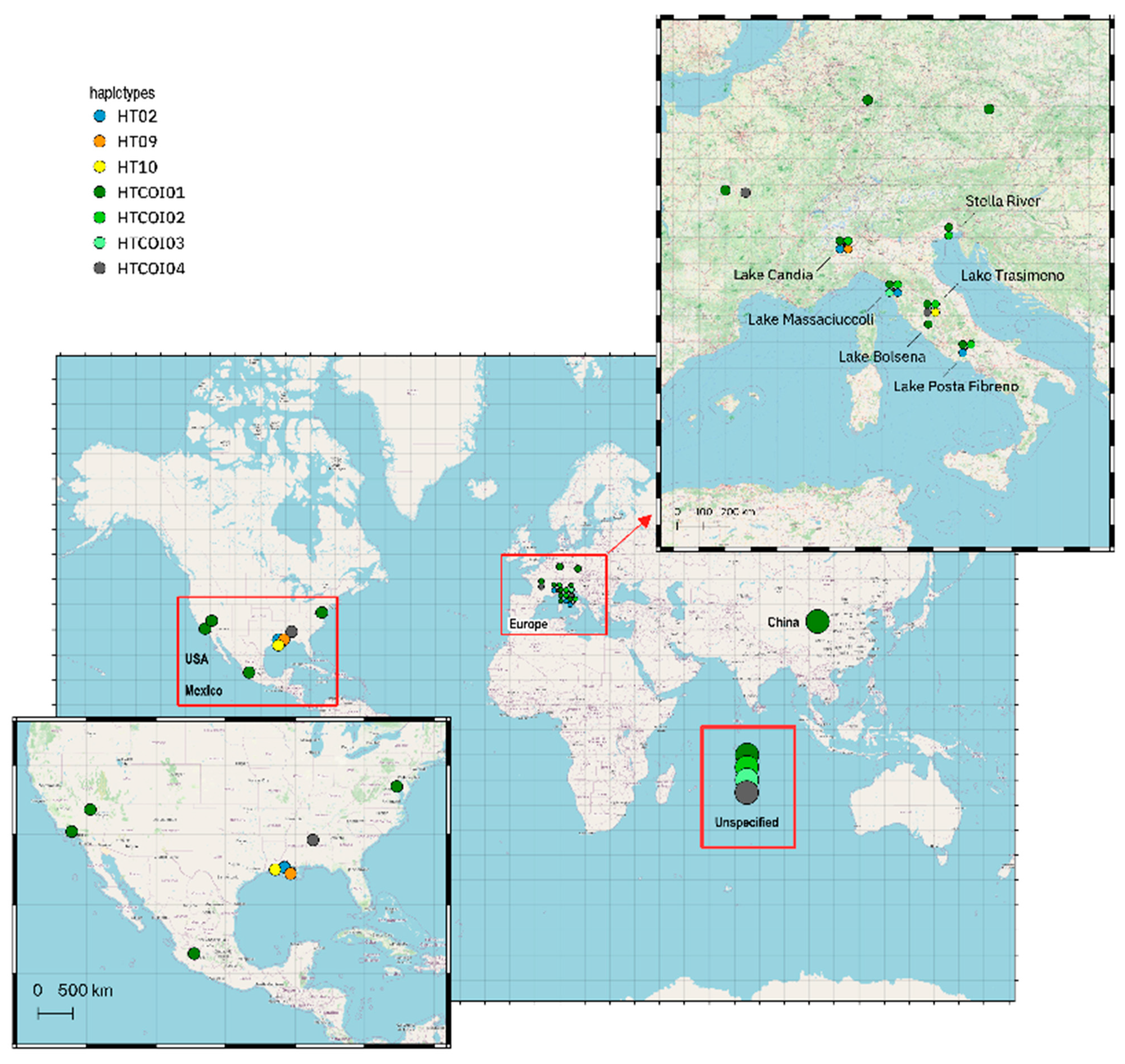Biology 12 00313 g006 Biology 12 00313 g006