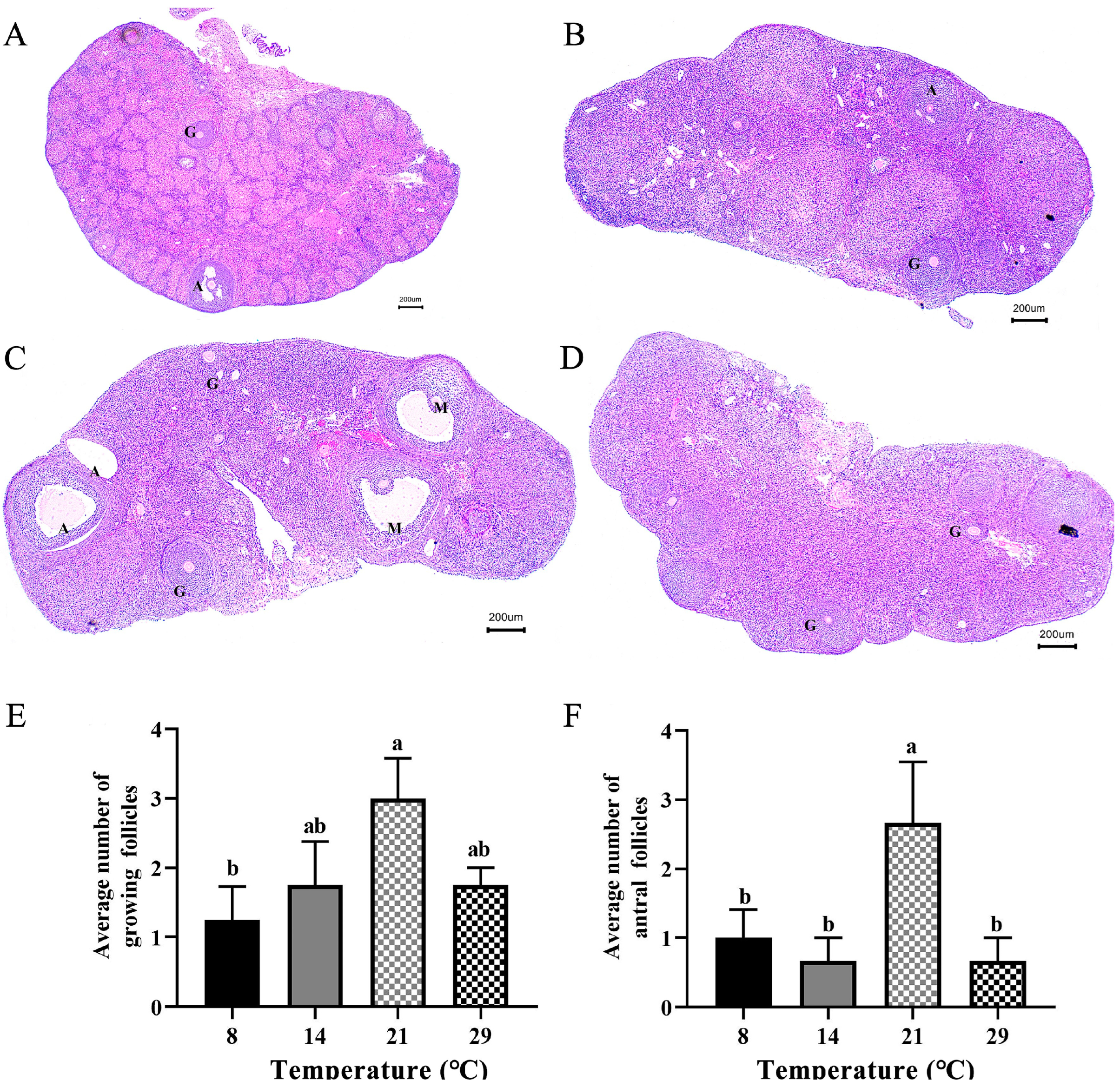 Biology 12 00315 g001 Biology 12 00315 g001