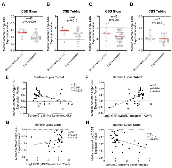 Biology Free FullText Reduced Renal CSE/CBS/H2S Contributes to the