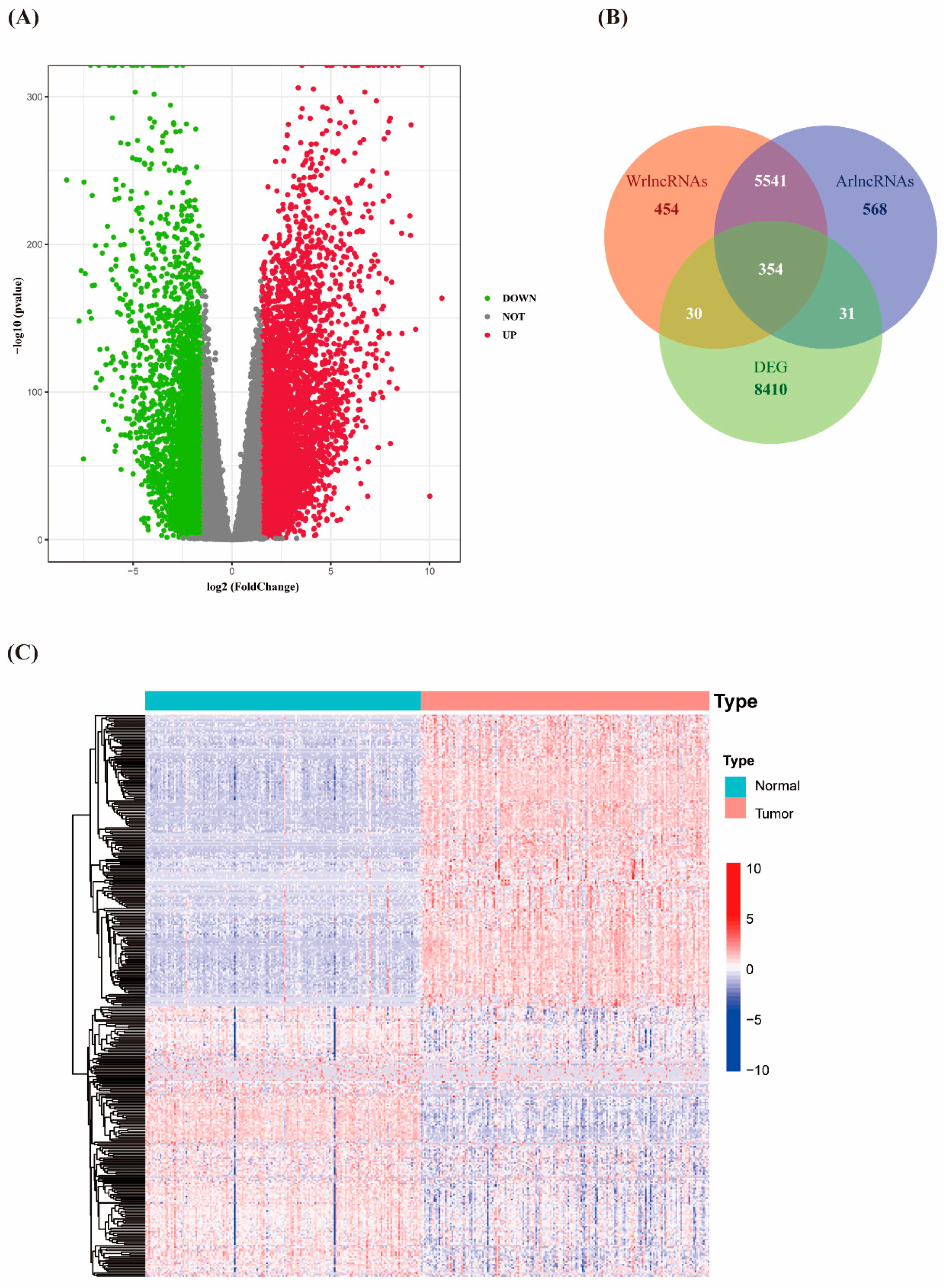 Biology 12 00319 g001