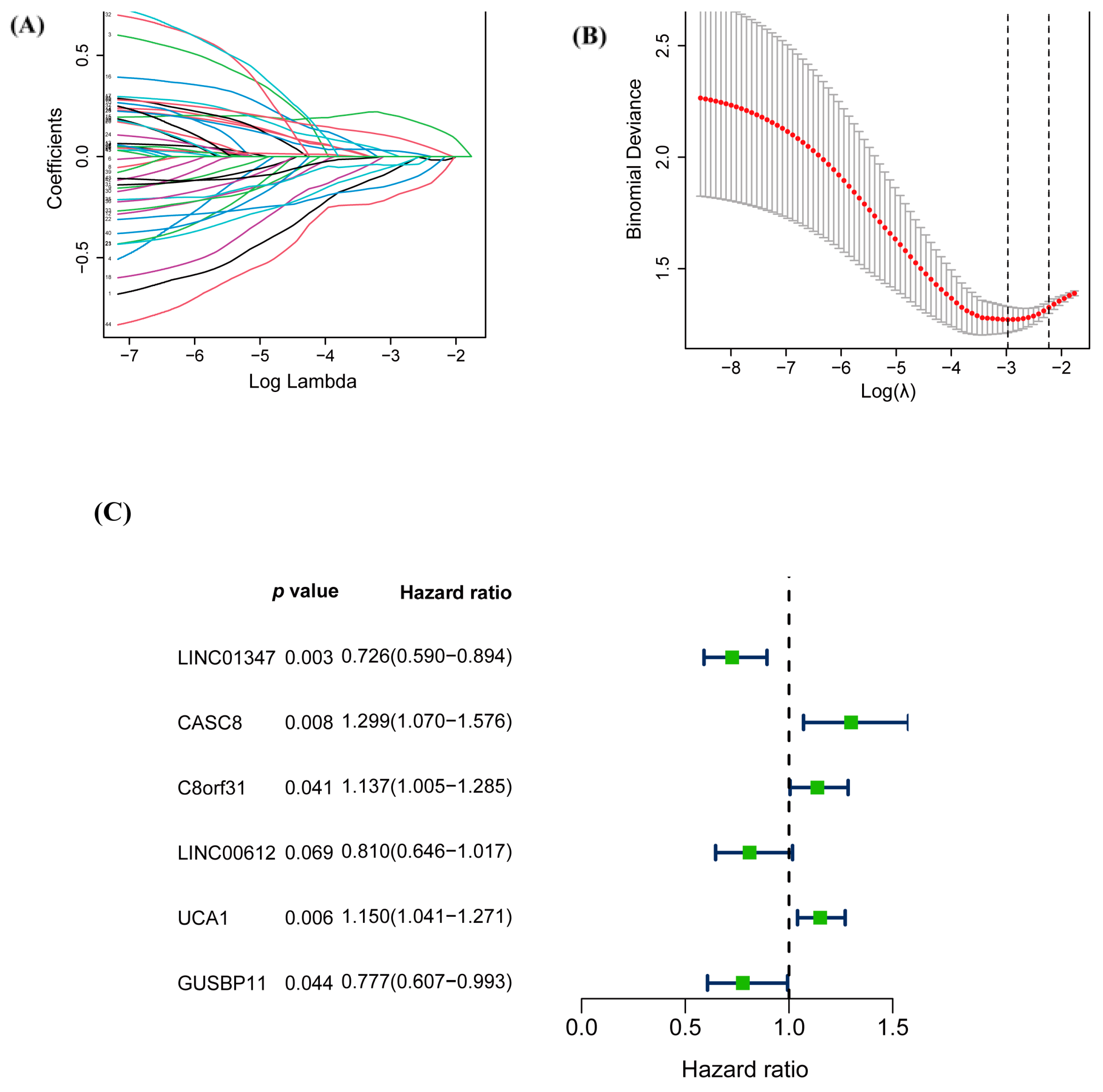 Biology 12 00319 g002