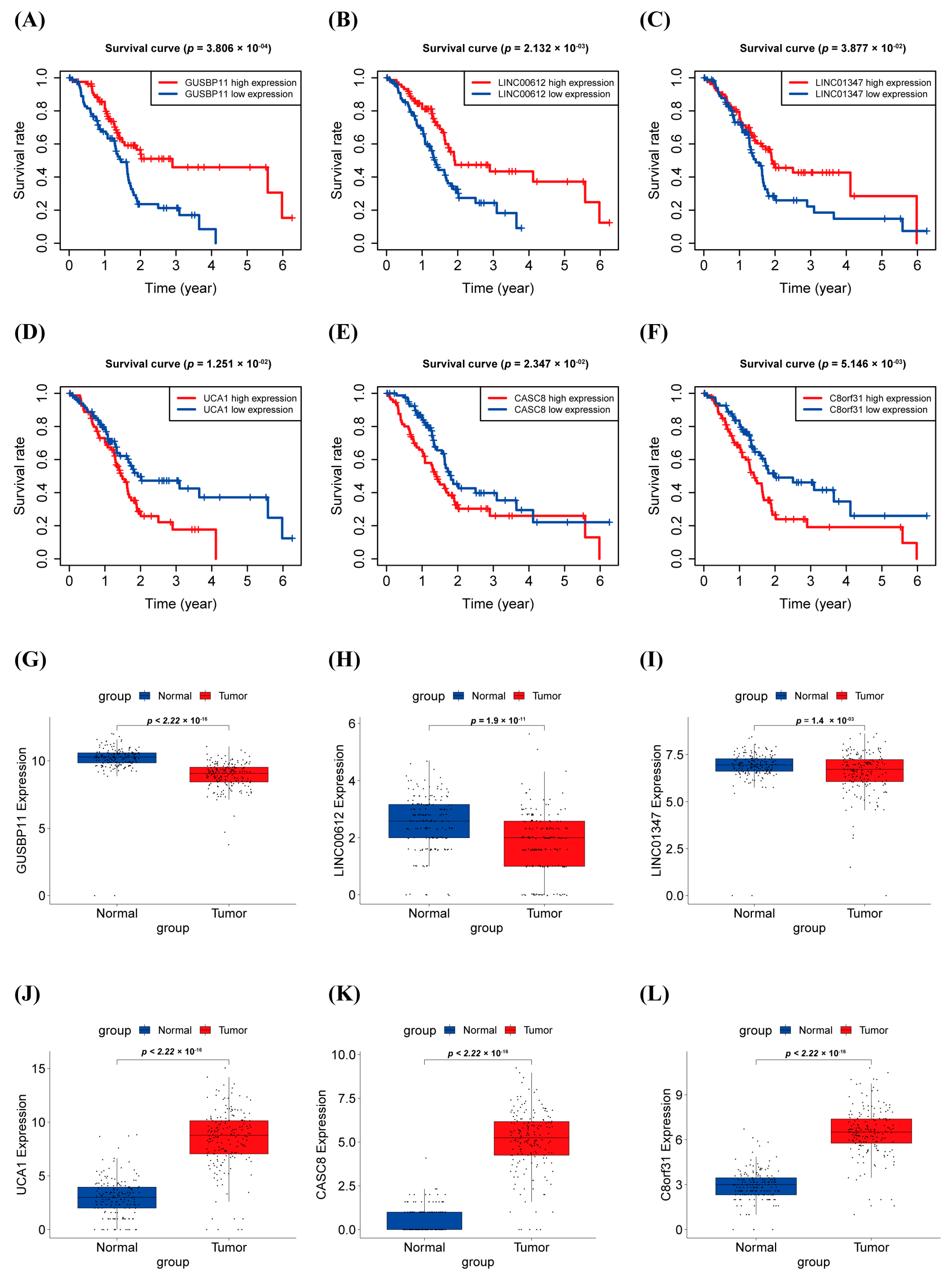 Biology 12 00319 g003