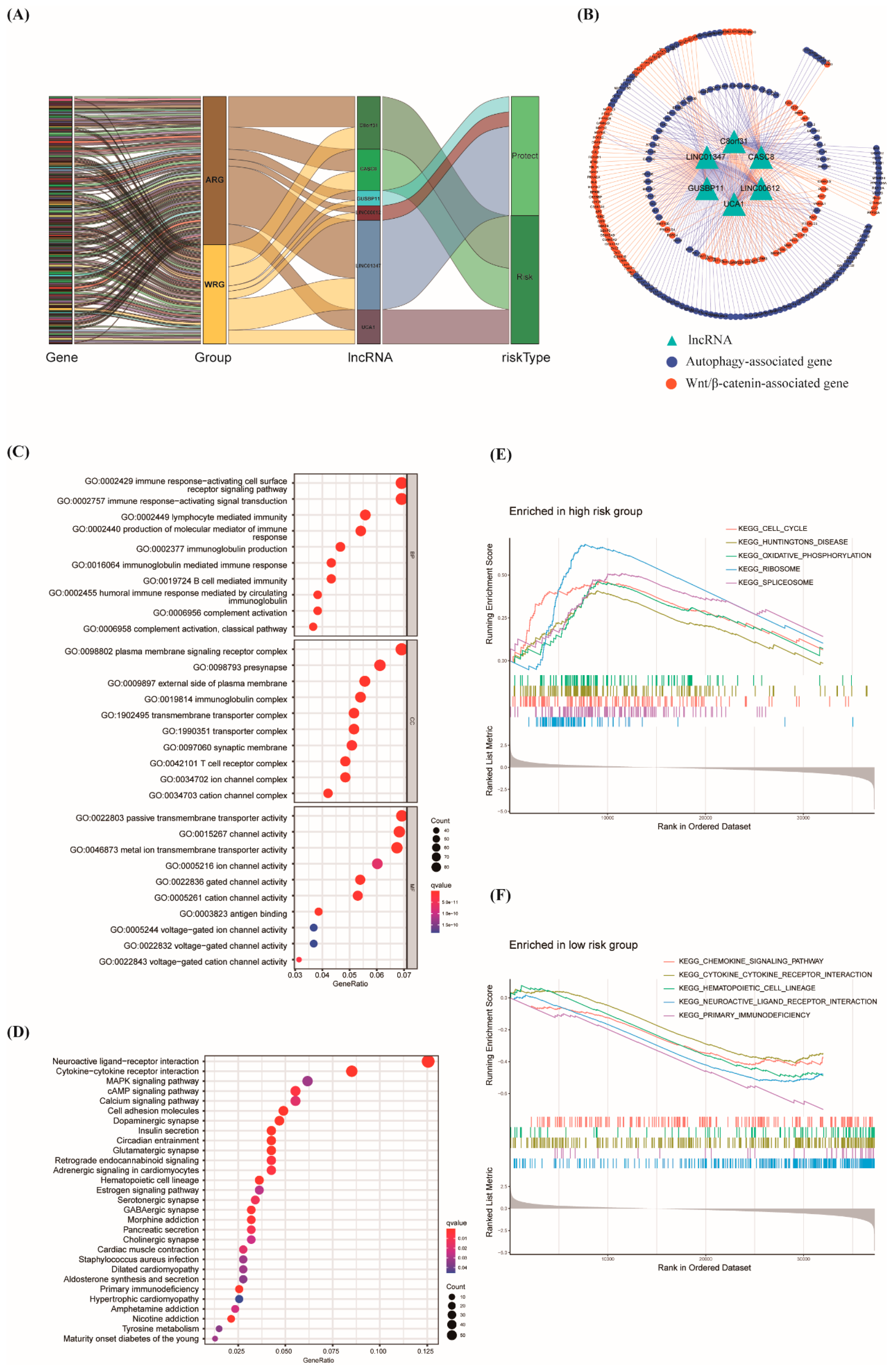 Biology 12 00319 g006