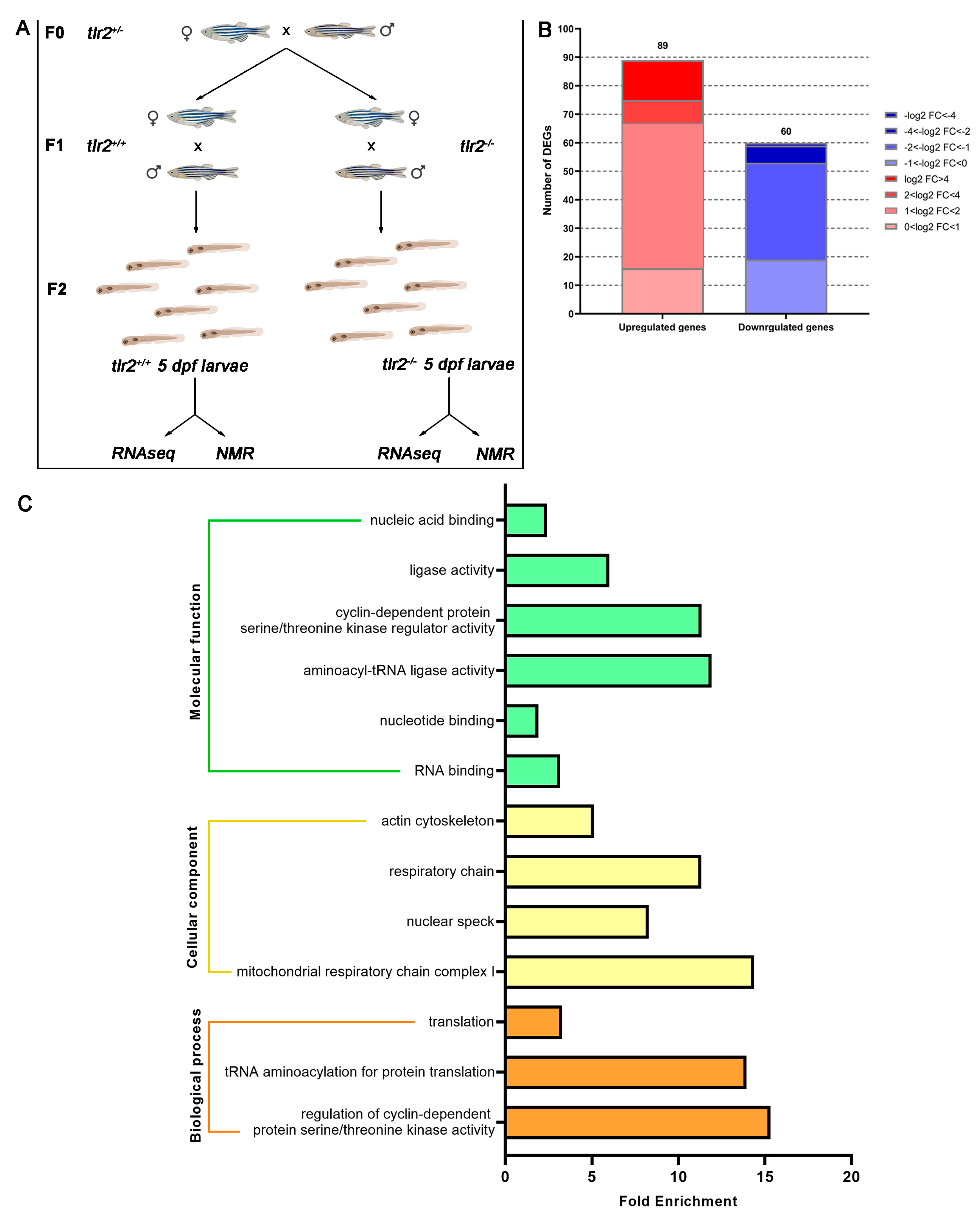 Biology 12 00323 g001 Biology 12 00323 g001