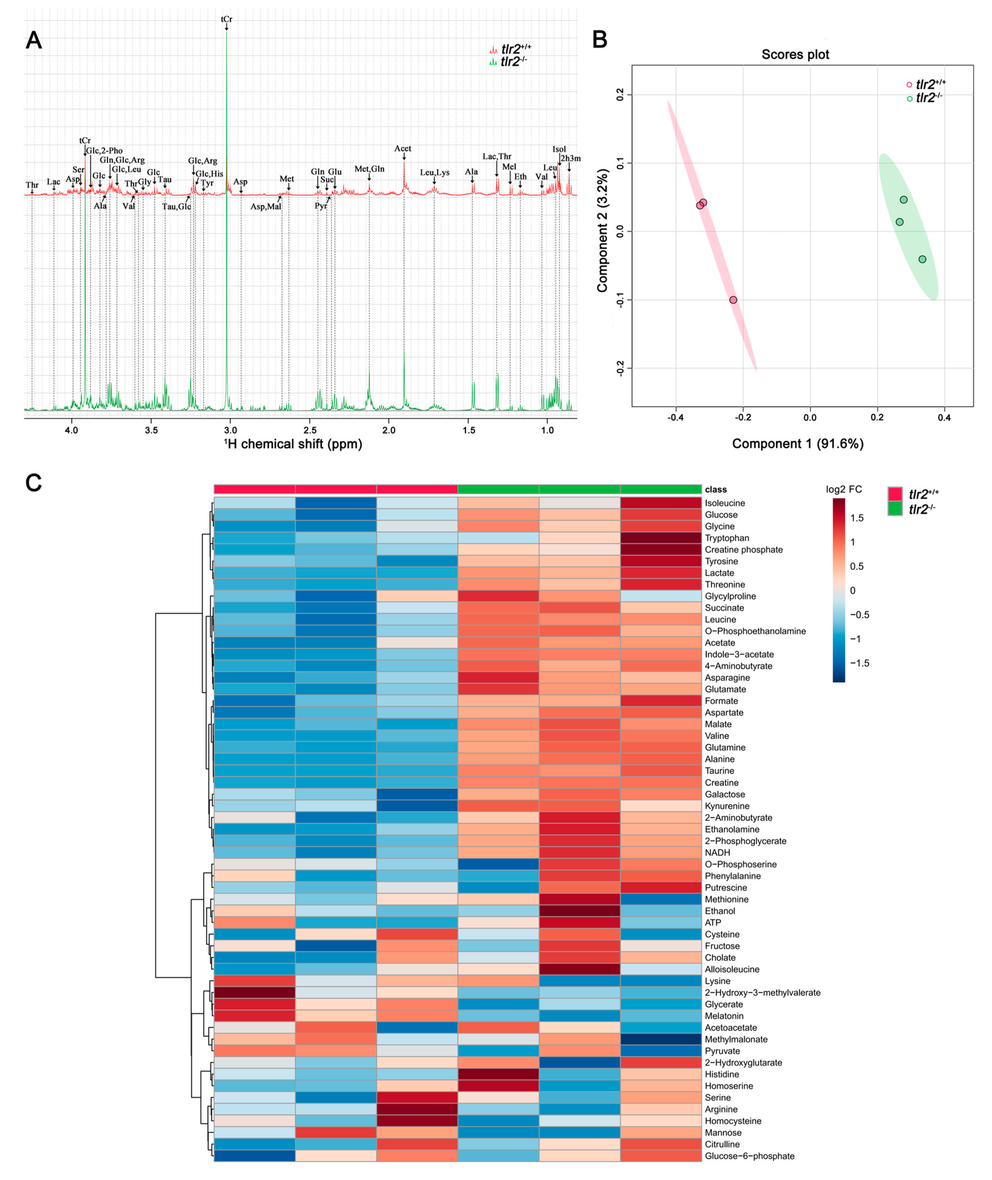 Biology 12 00323 g004 Biology 12 00323 g004
