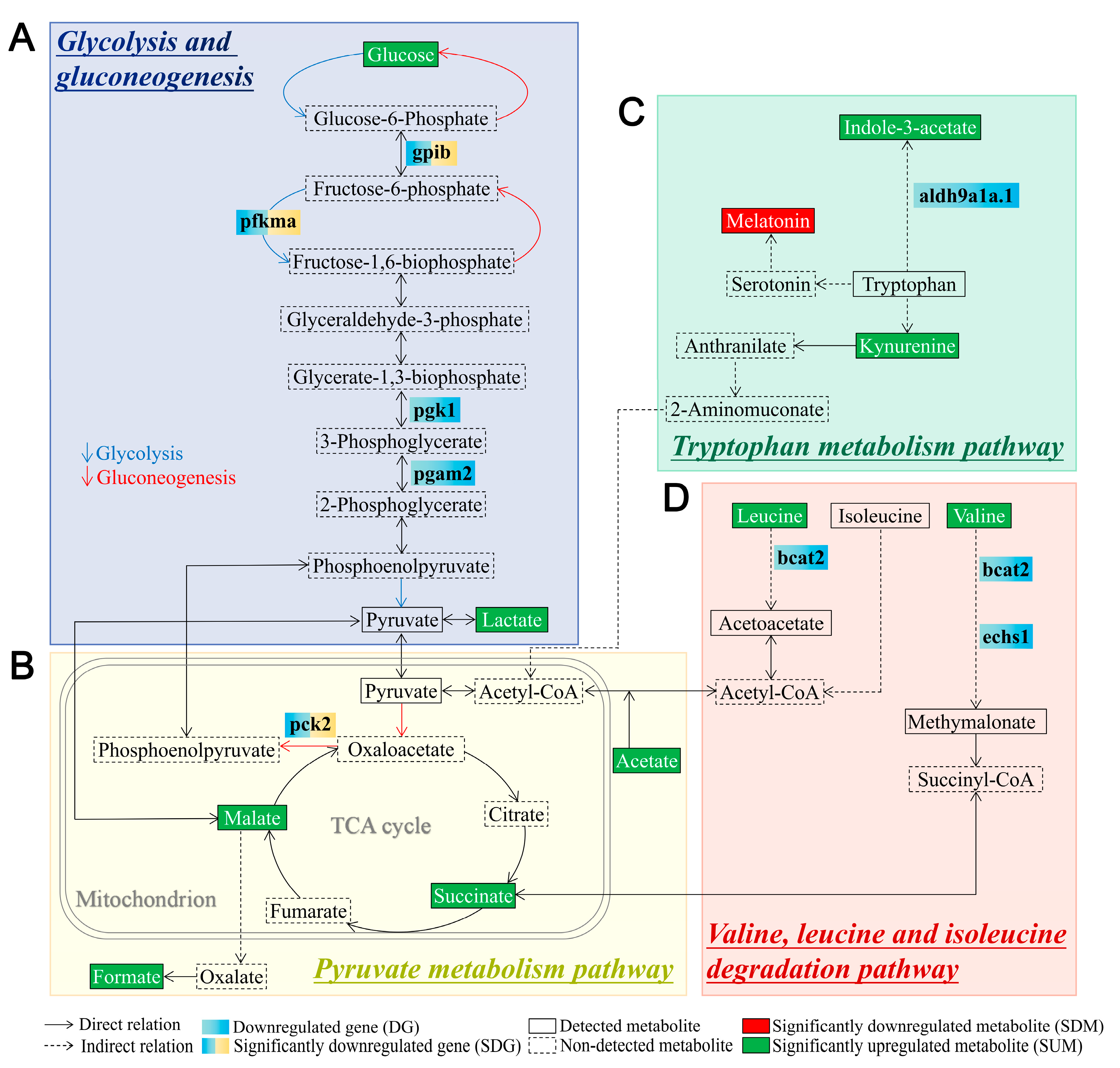Biology 12 00323 g007 Biology 12 00323 g007