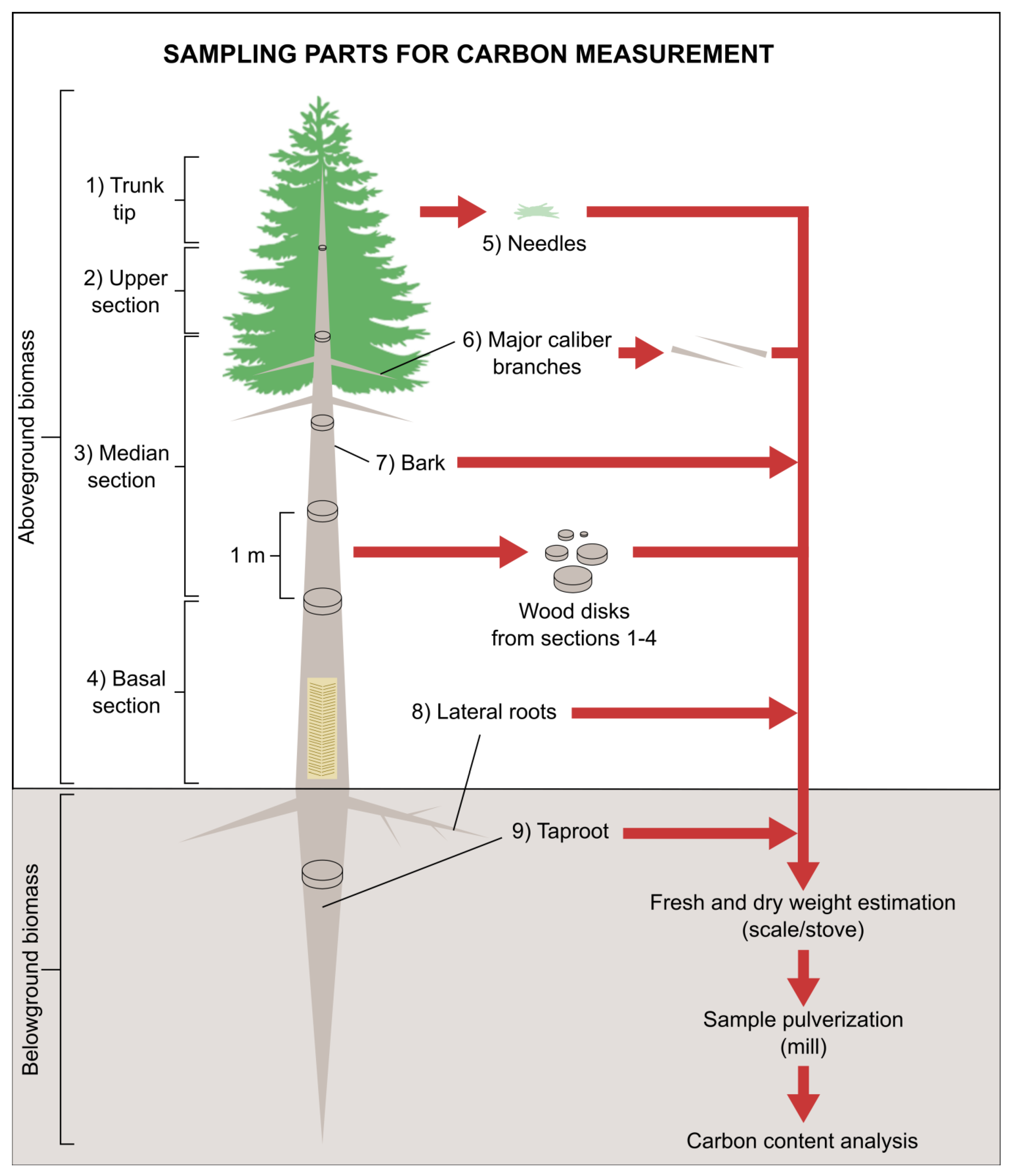 Biology 12 00324 g001 Biology 12 00324 g001